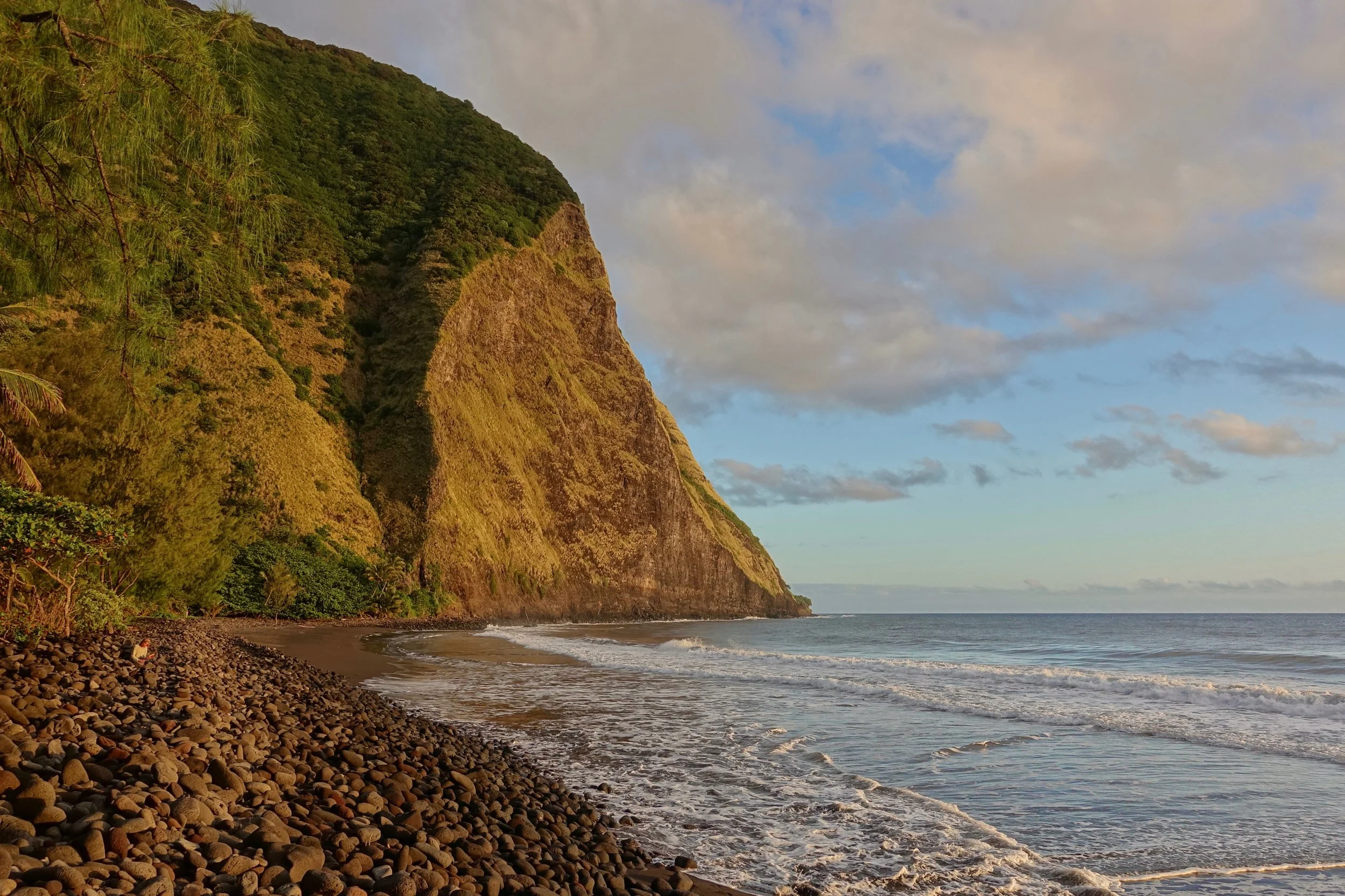 Waimanu beach on the Muliwai trail in Hawaii