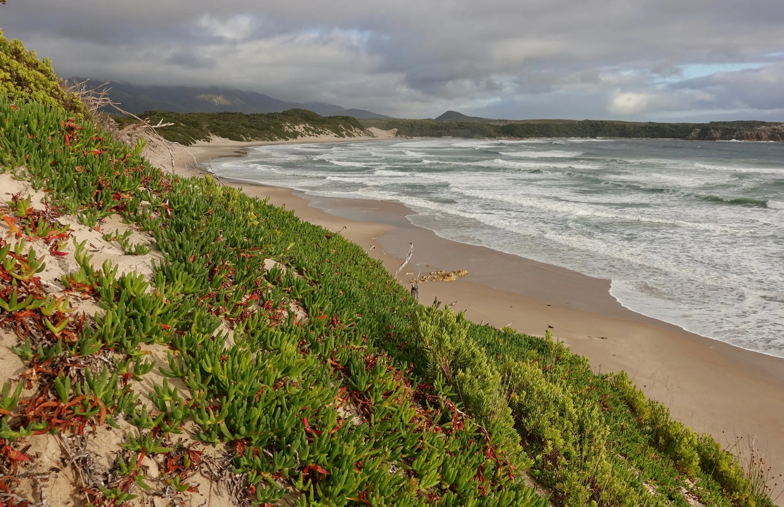 Mulcahy Bay on the west coast of Tasmania hiking