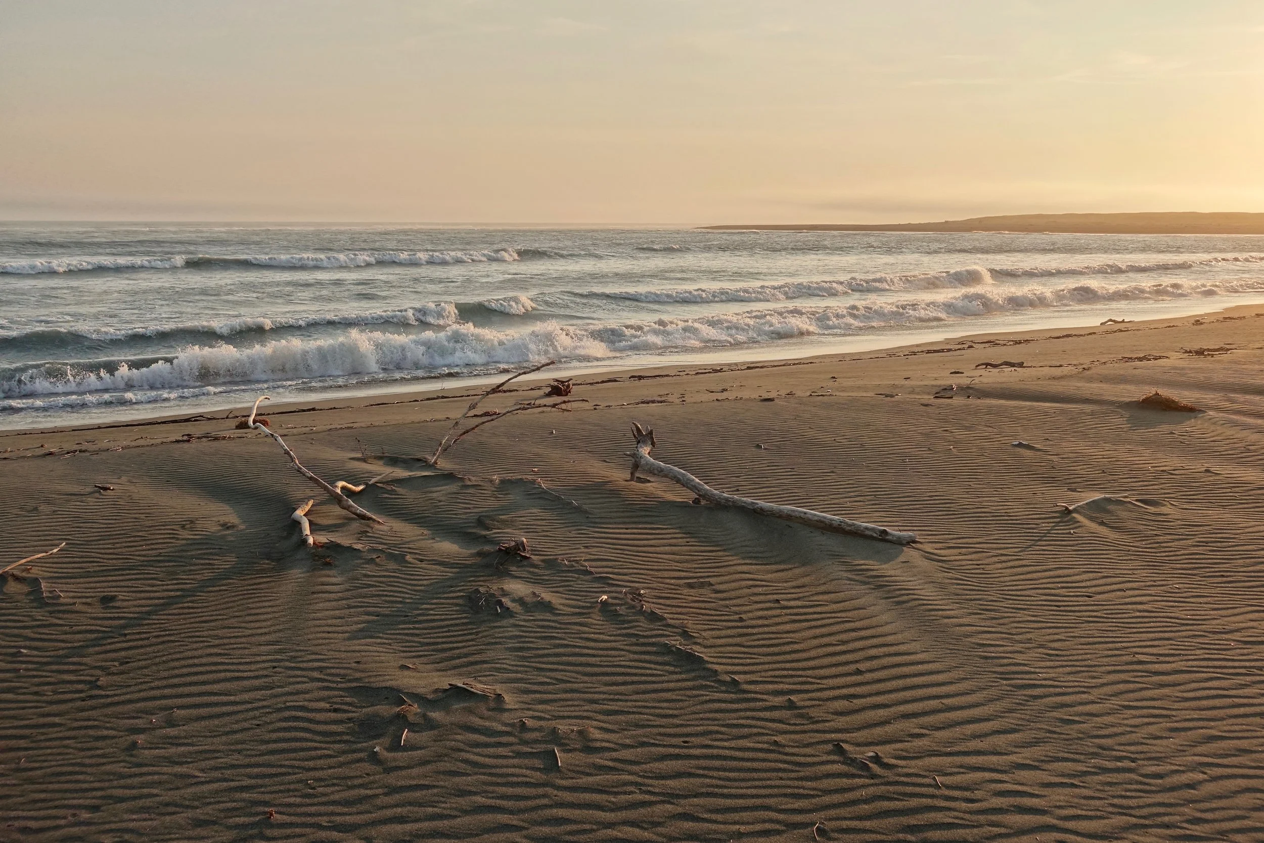Lost Coast hike, waiting for the Dangerous River to go down in size