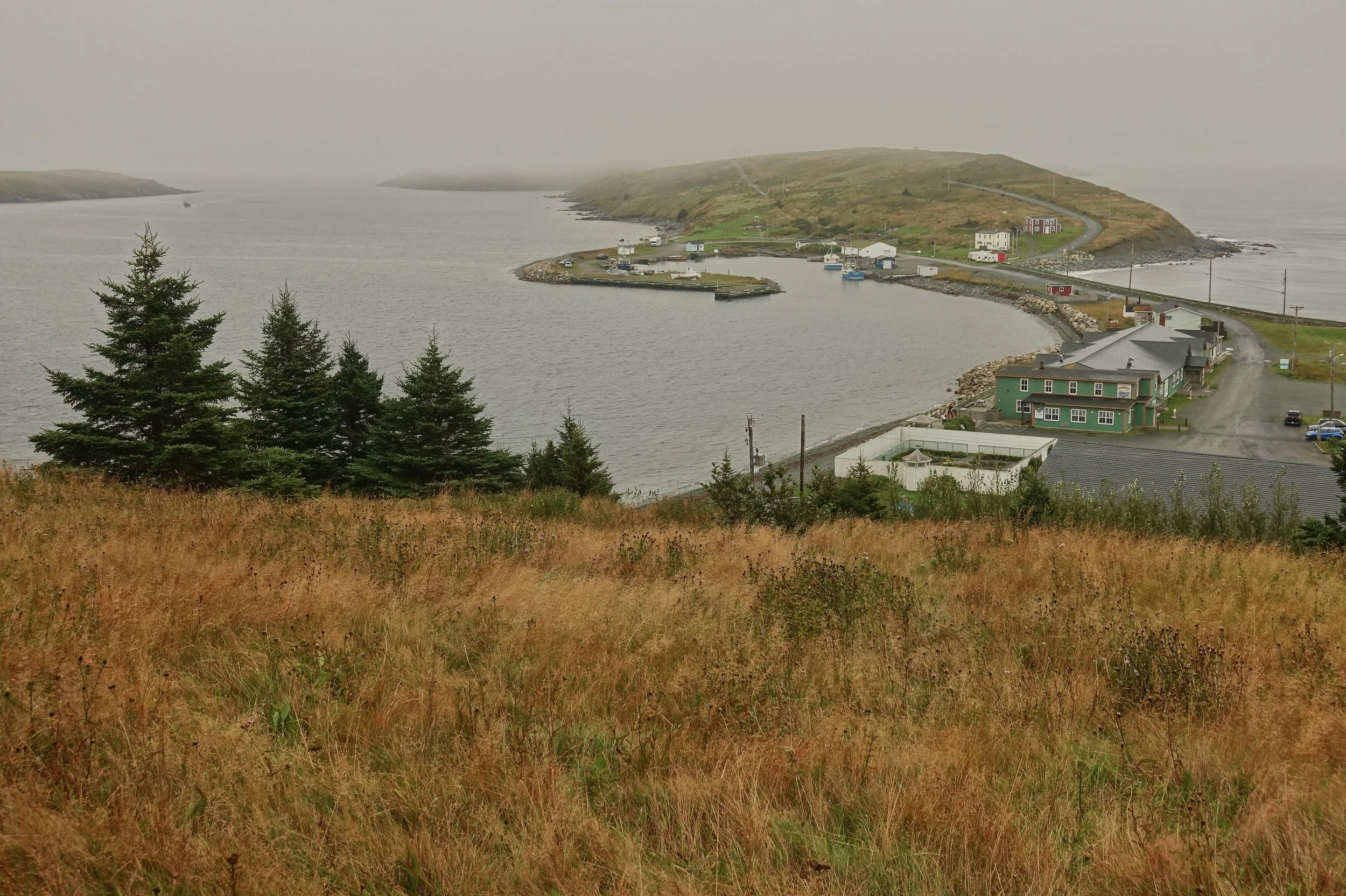 Fog and rain on the Ferryland community walk up above the town on the East Coast hike in Newfoundland