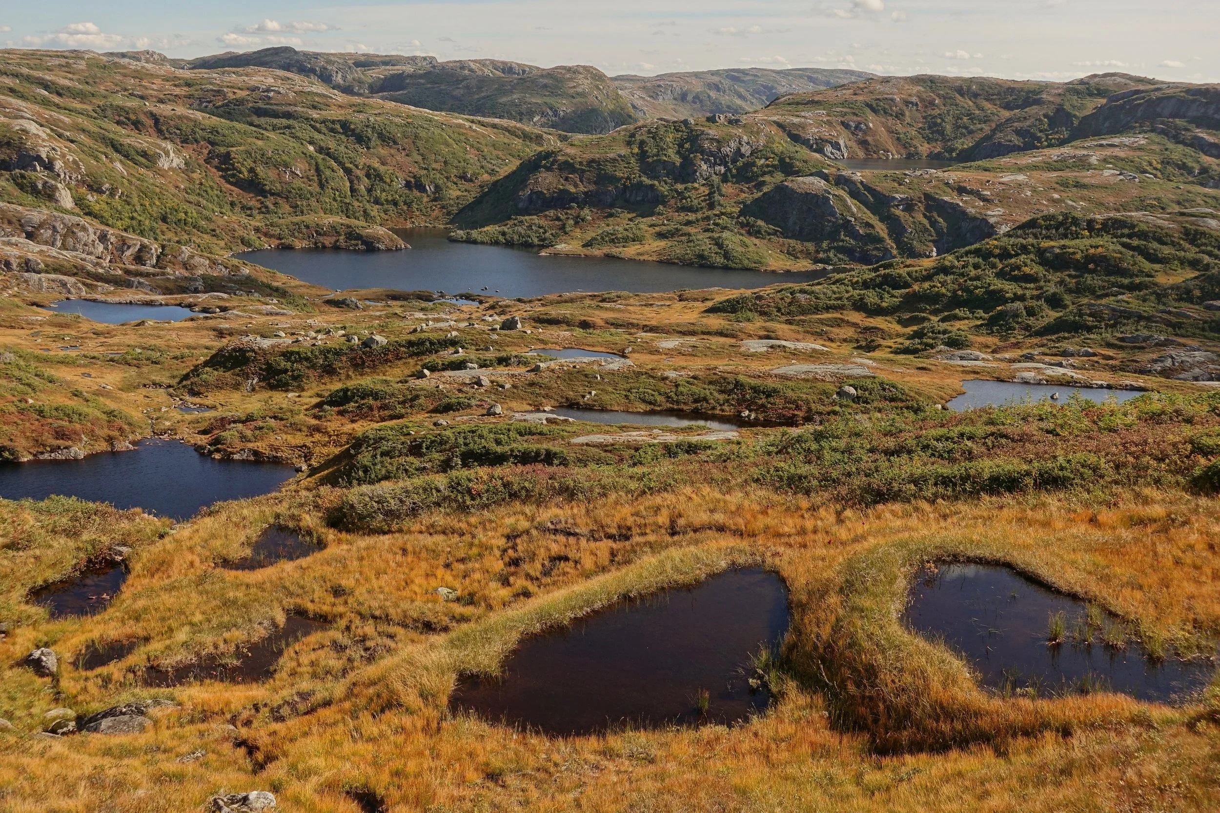 Gilley Pond camp on hiking trip in Gros Morne backpacking traverse in Newfoundland