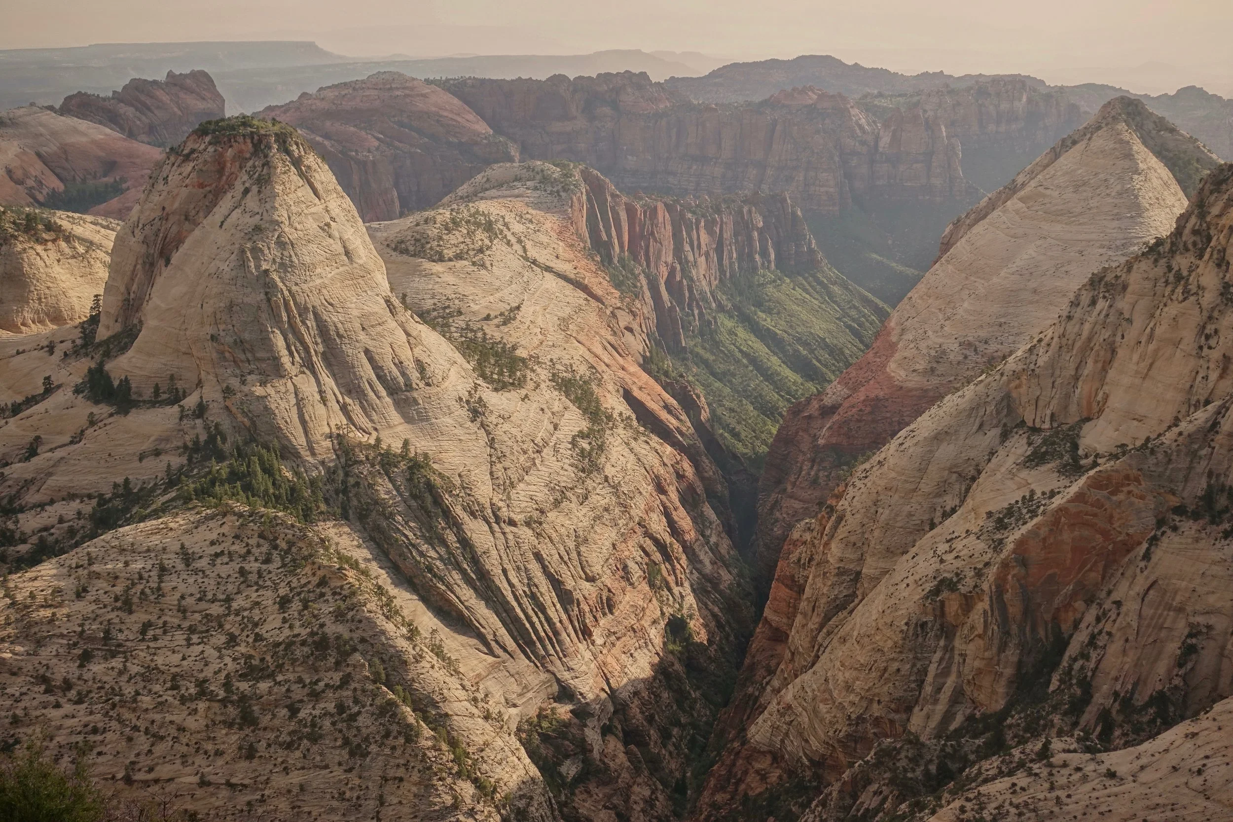 View near campsite 6 in Zion's West Rim Trail in Utah