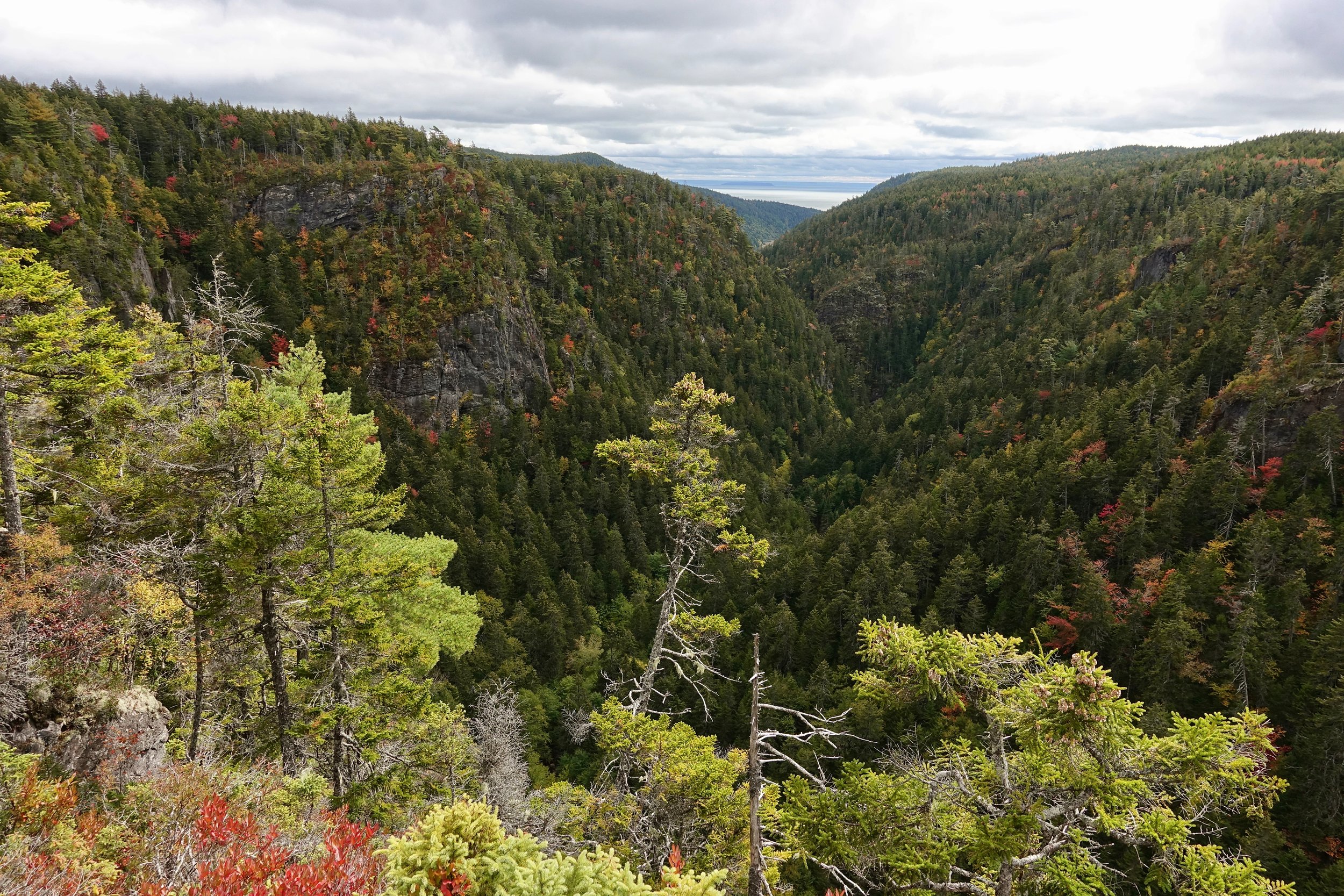Walton Glen Gorge side trip on the Fundy Footpath hike