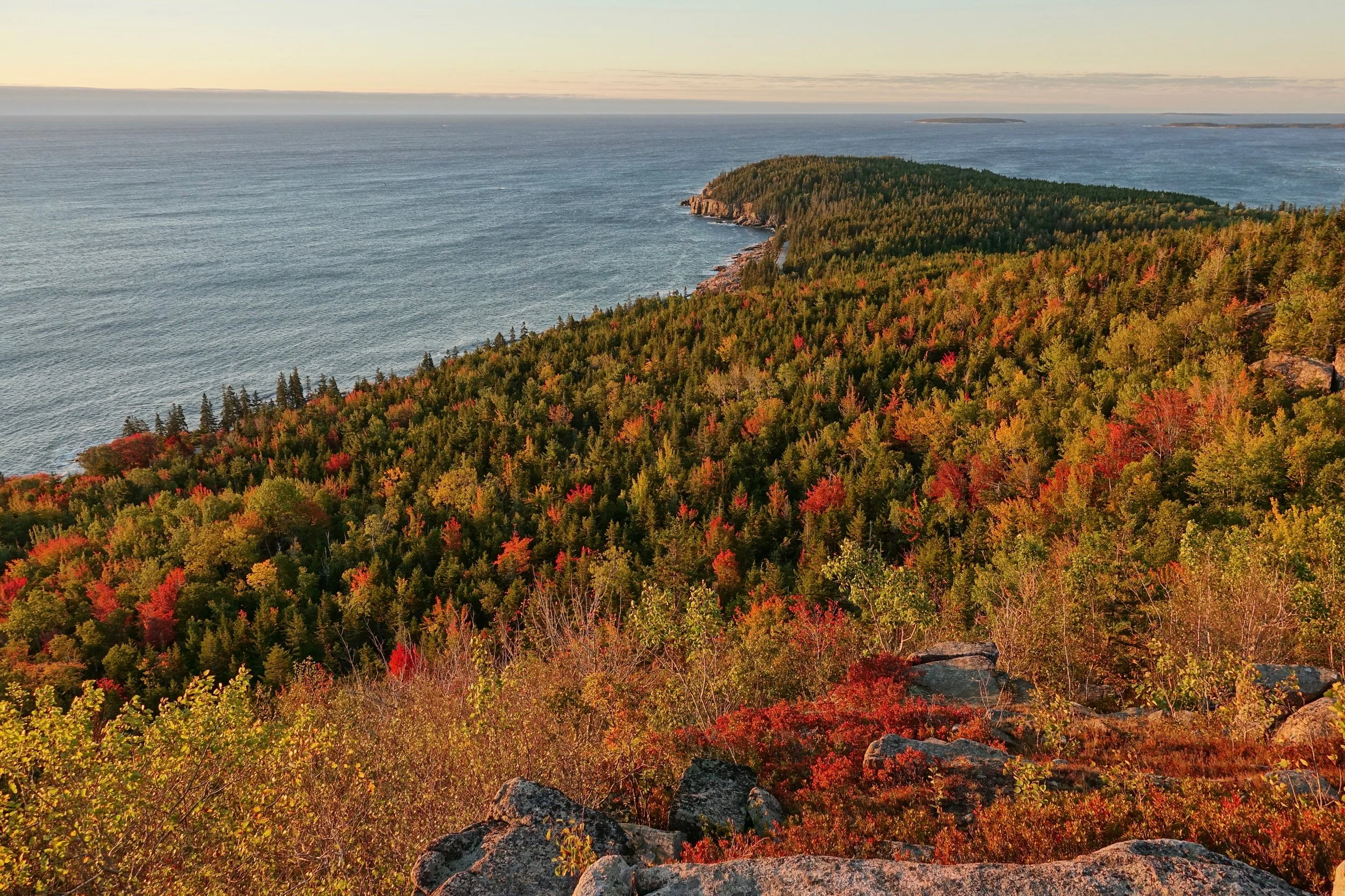 Gorham mountain summit with fall colors over the coast of Maine in Acadia National Park