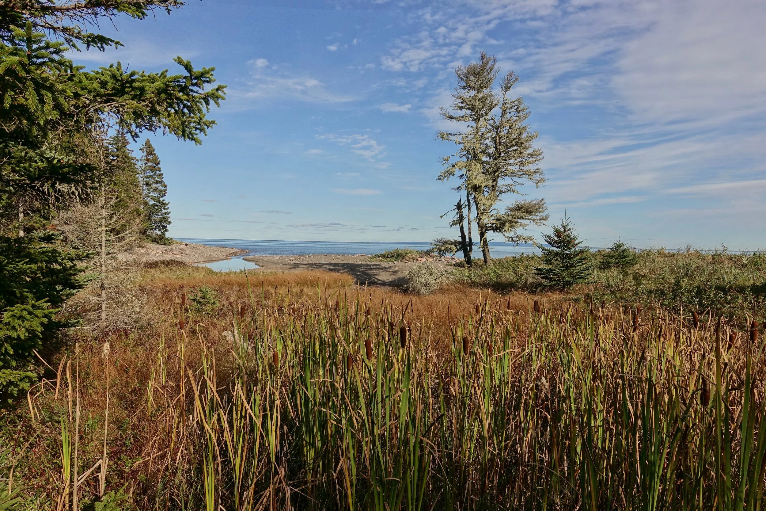 Seely Beach brook on the Fundy Footpath hike in New Brunswick