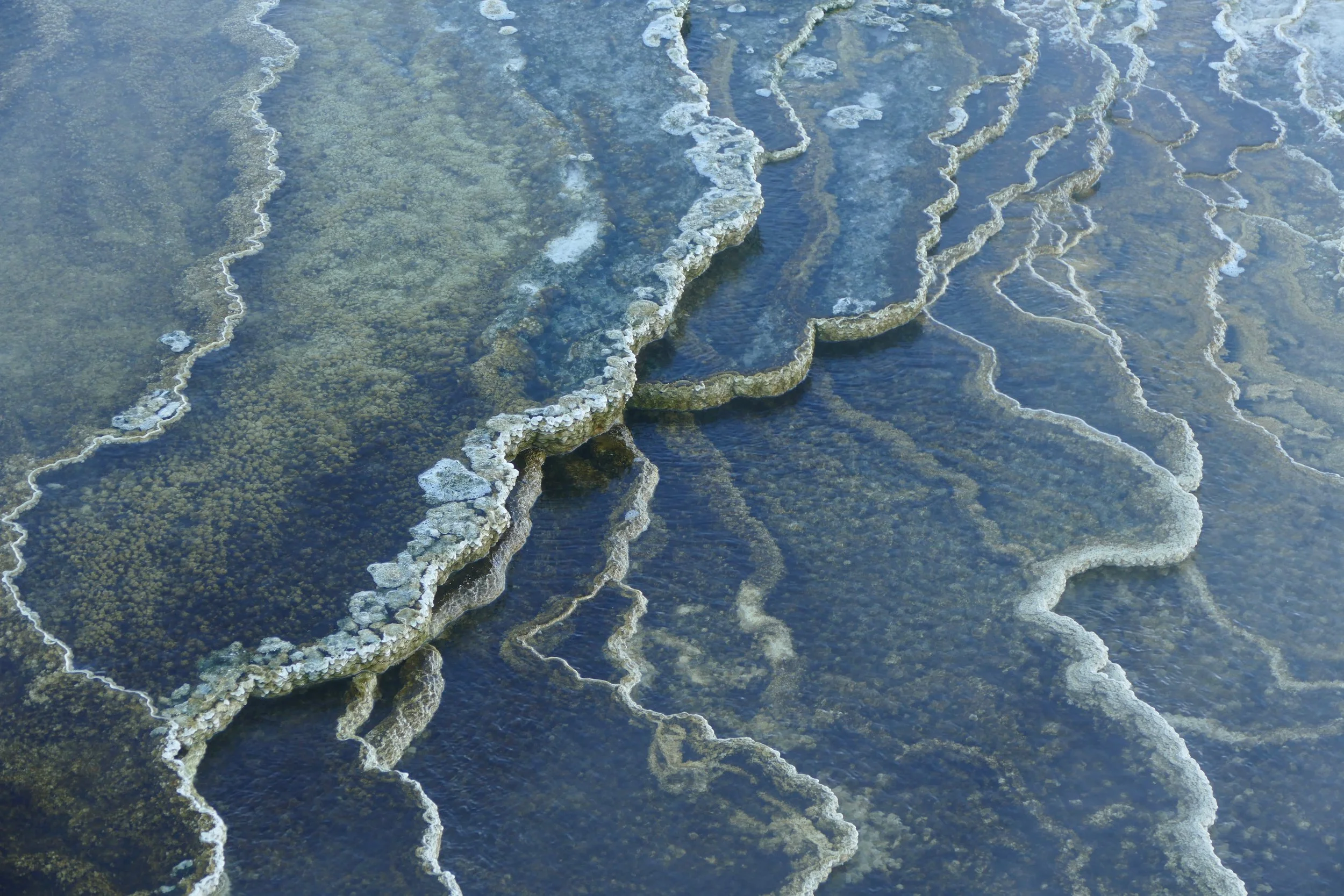Mammoth pool at Yellowstone National park
