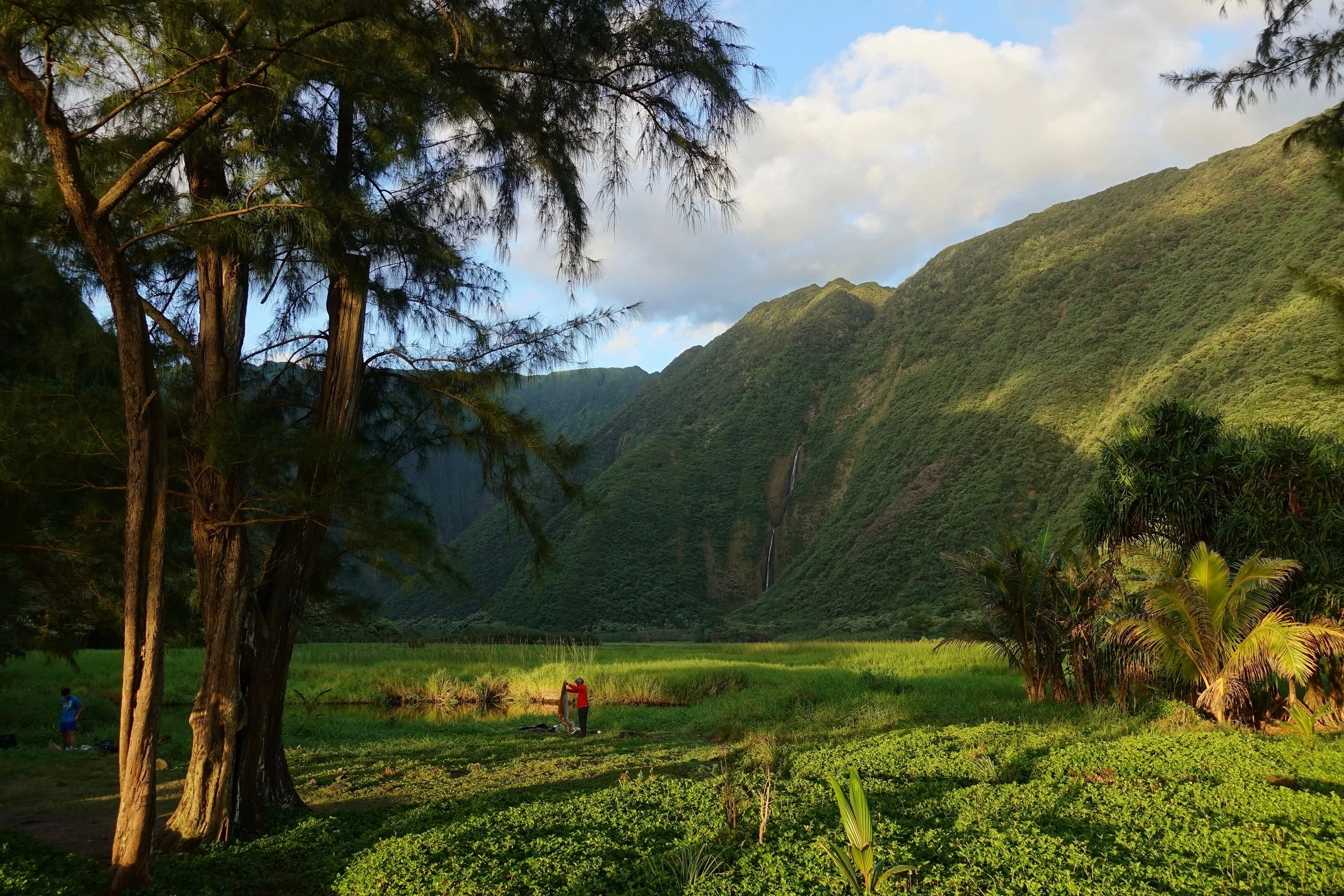 Muliwai Trail campsite in Hawaii