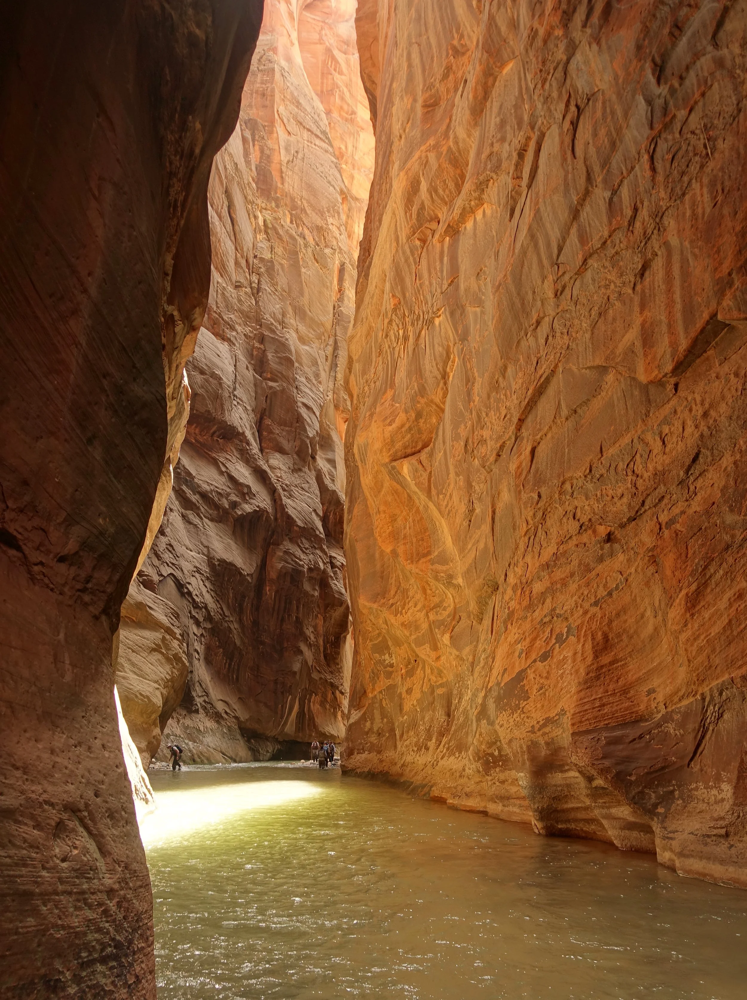 Zion narrows hike in March in Zion in Utah