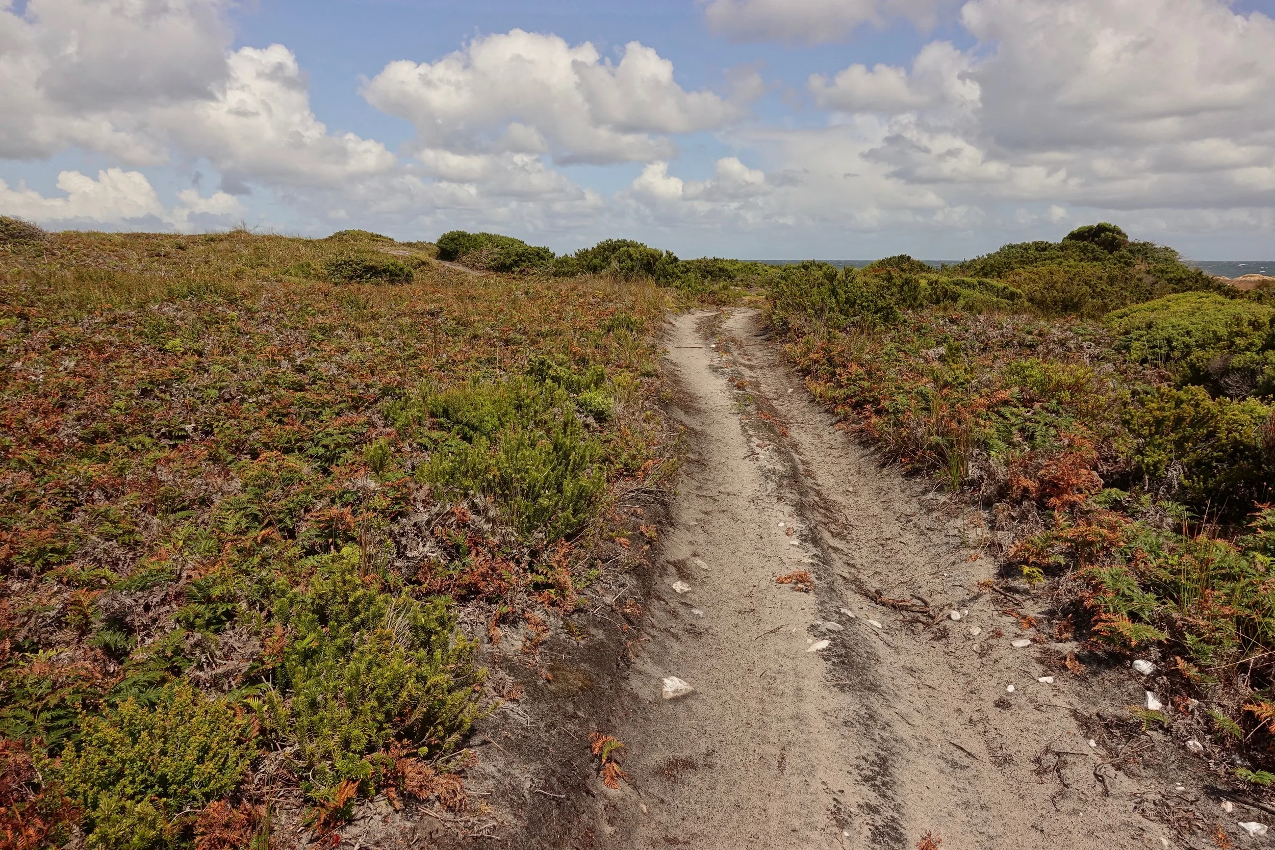 Road walk on west coast
