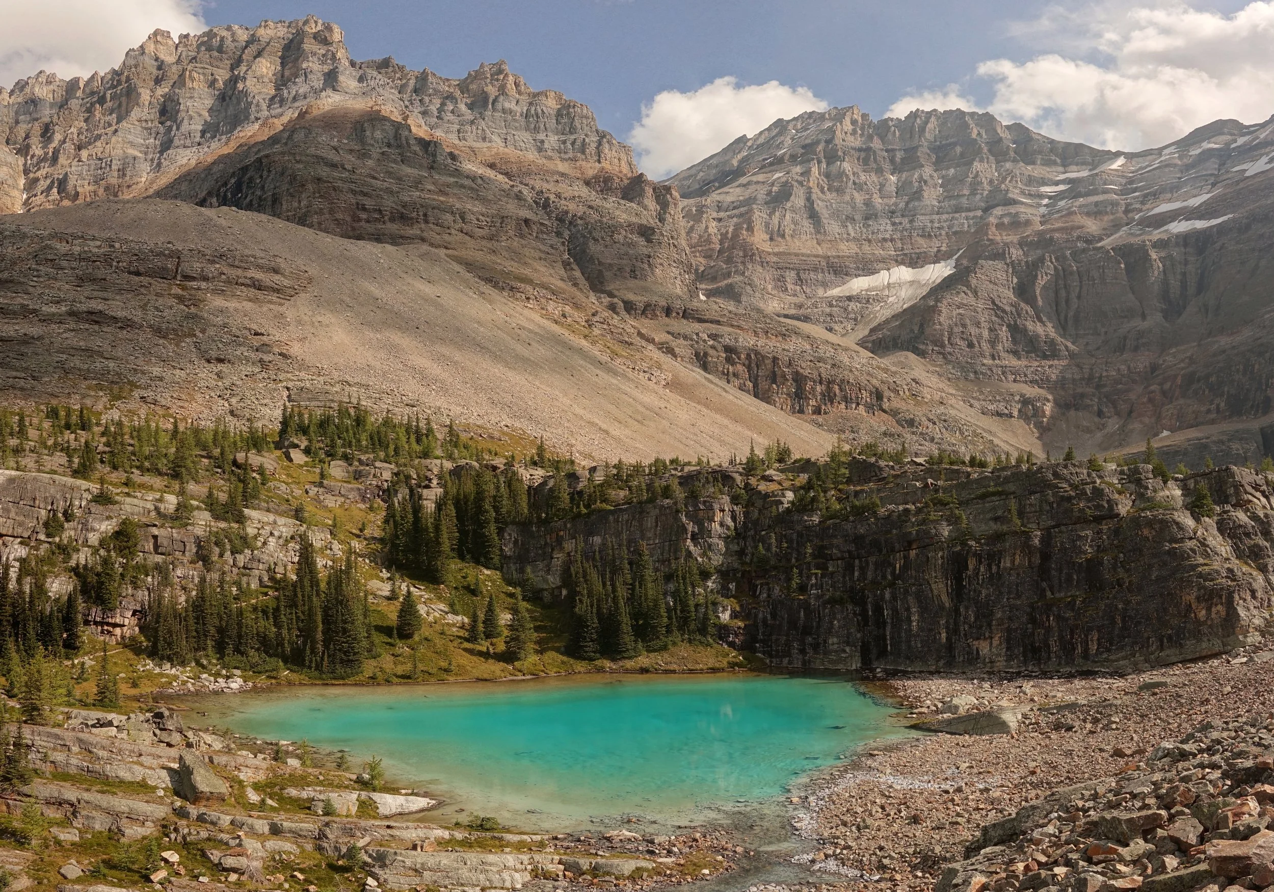 Pool near Lake Oesa on the Alpine Circuit route hike in Lake O'hara region