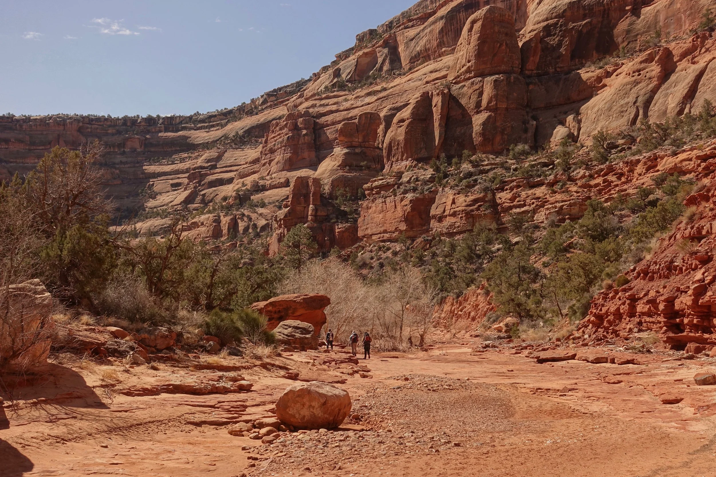 Hikers in Fish Creek Canyon in Cedar Mesa Utah