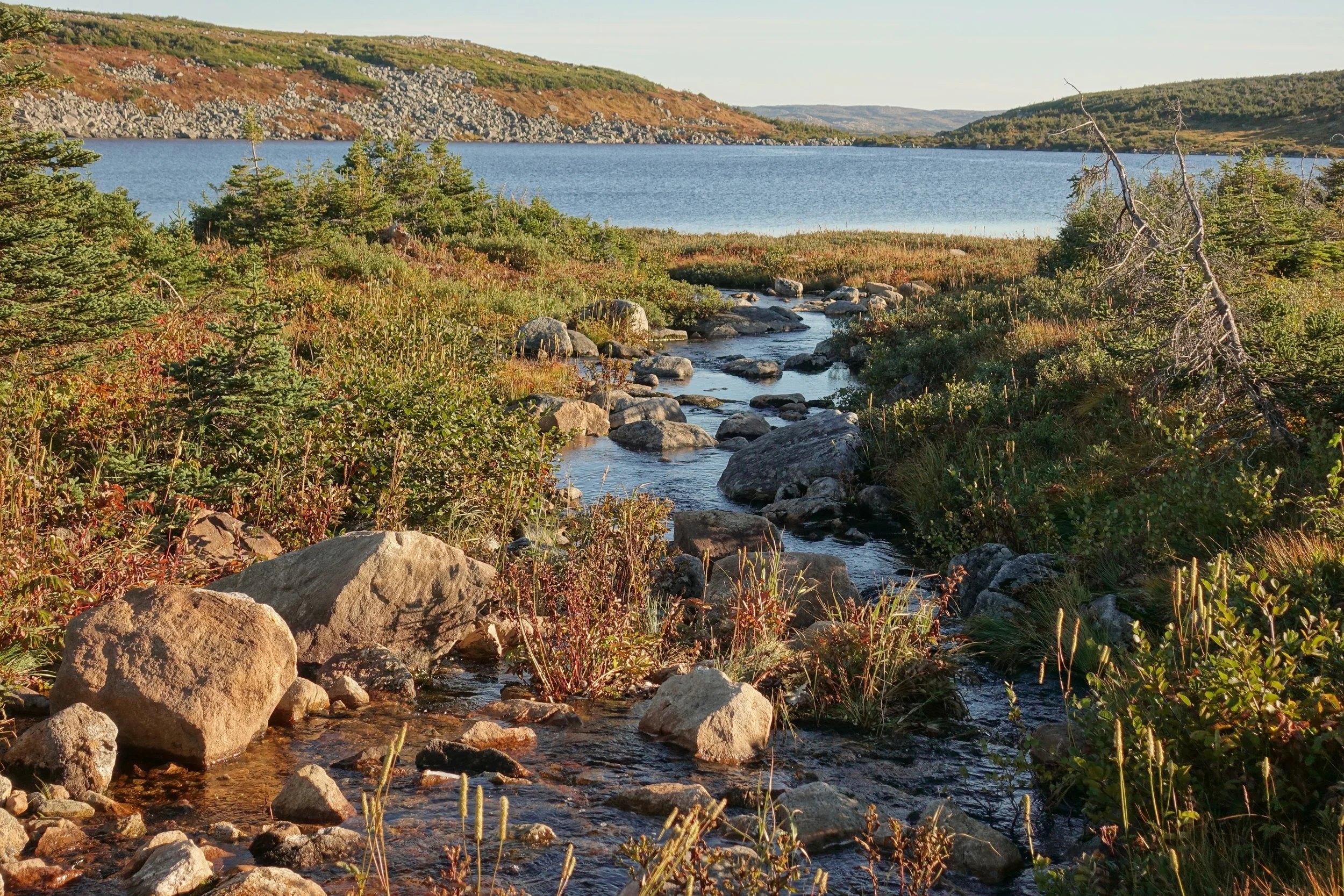 Triangle Pond camp on the Northern Traverse in Gros Morne backpacking in Newfoundland Canada