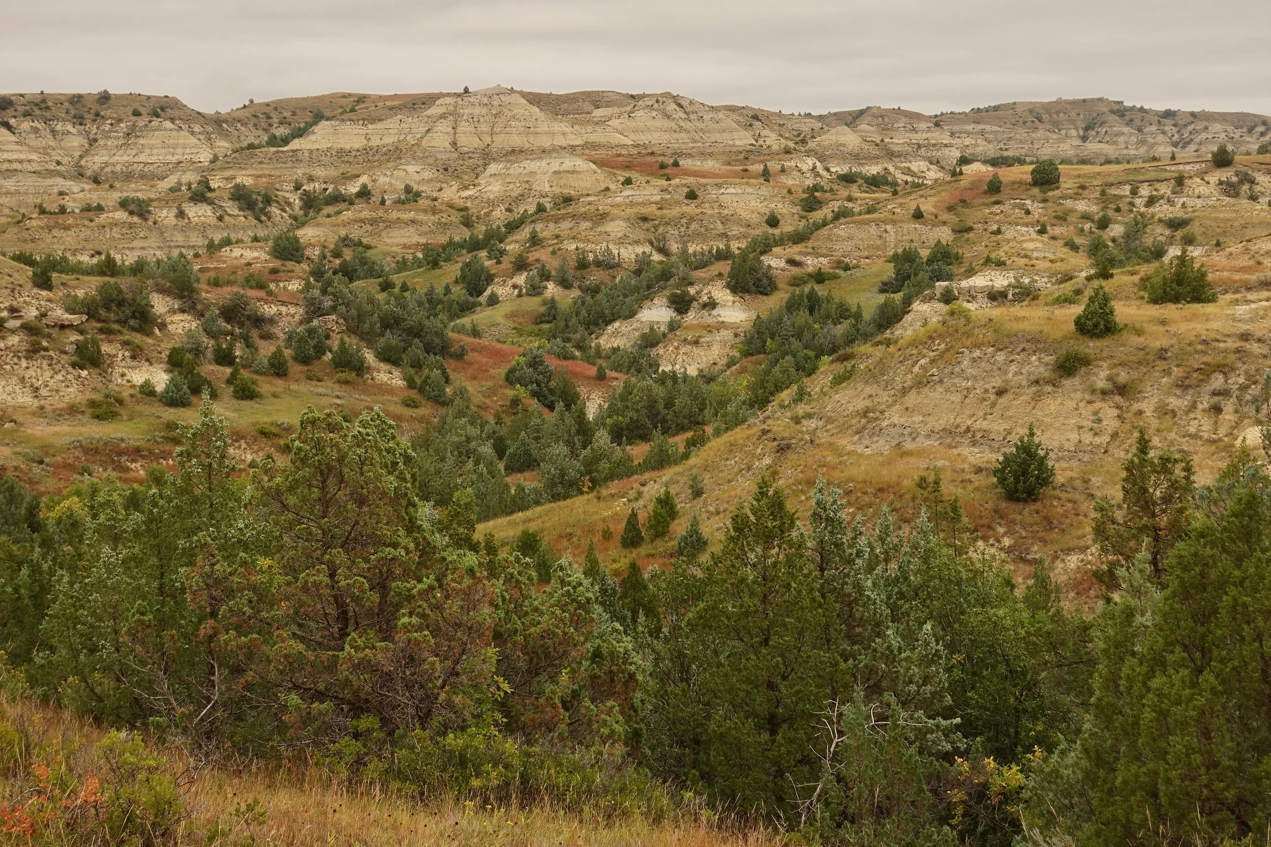 North Dakota badlands on the Maah Daah Hey Trail hike