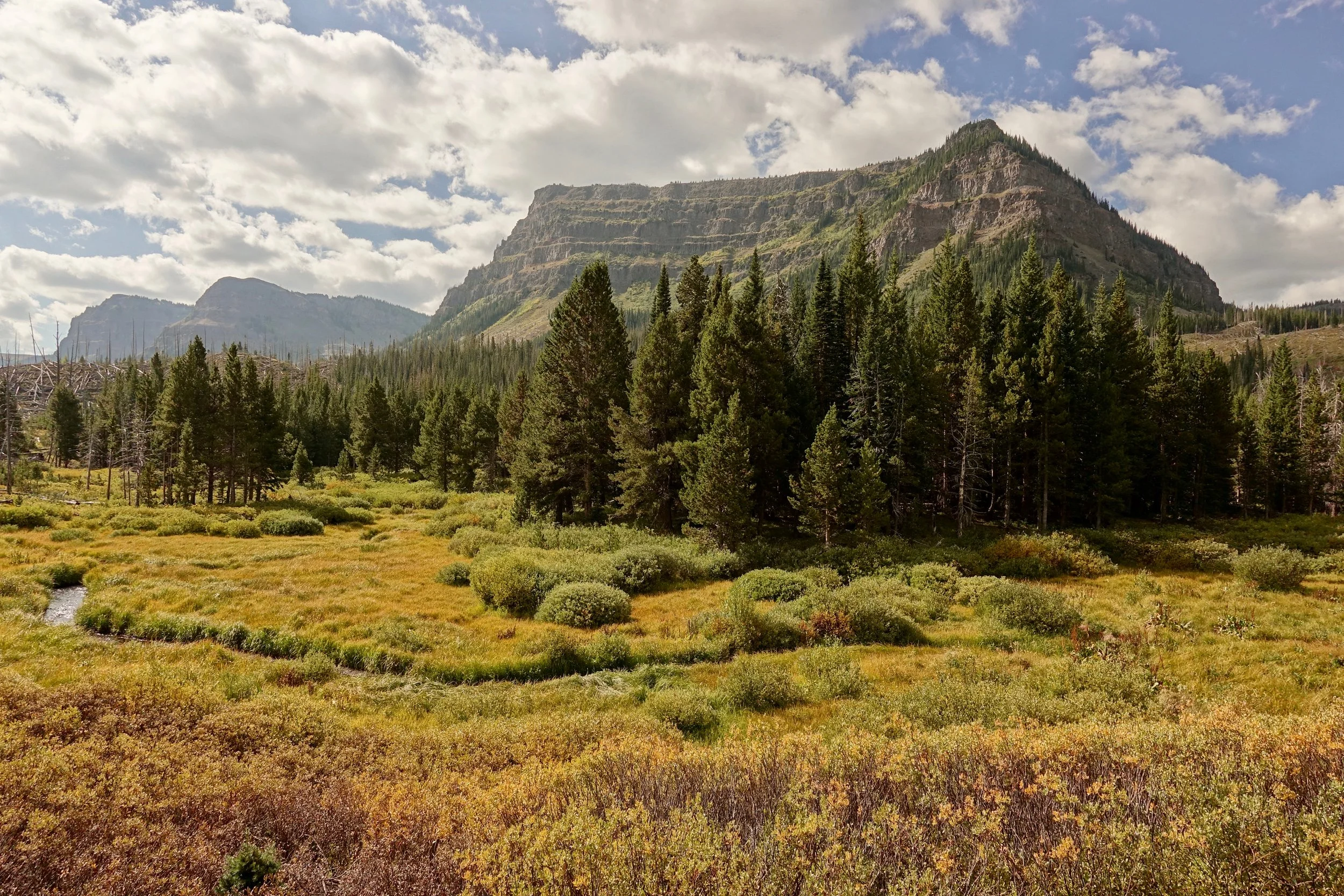 Approach hike to Wall Lake in the Flat Tops Wilderness of Colorado
