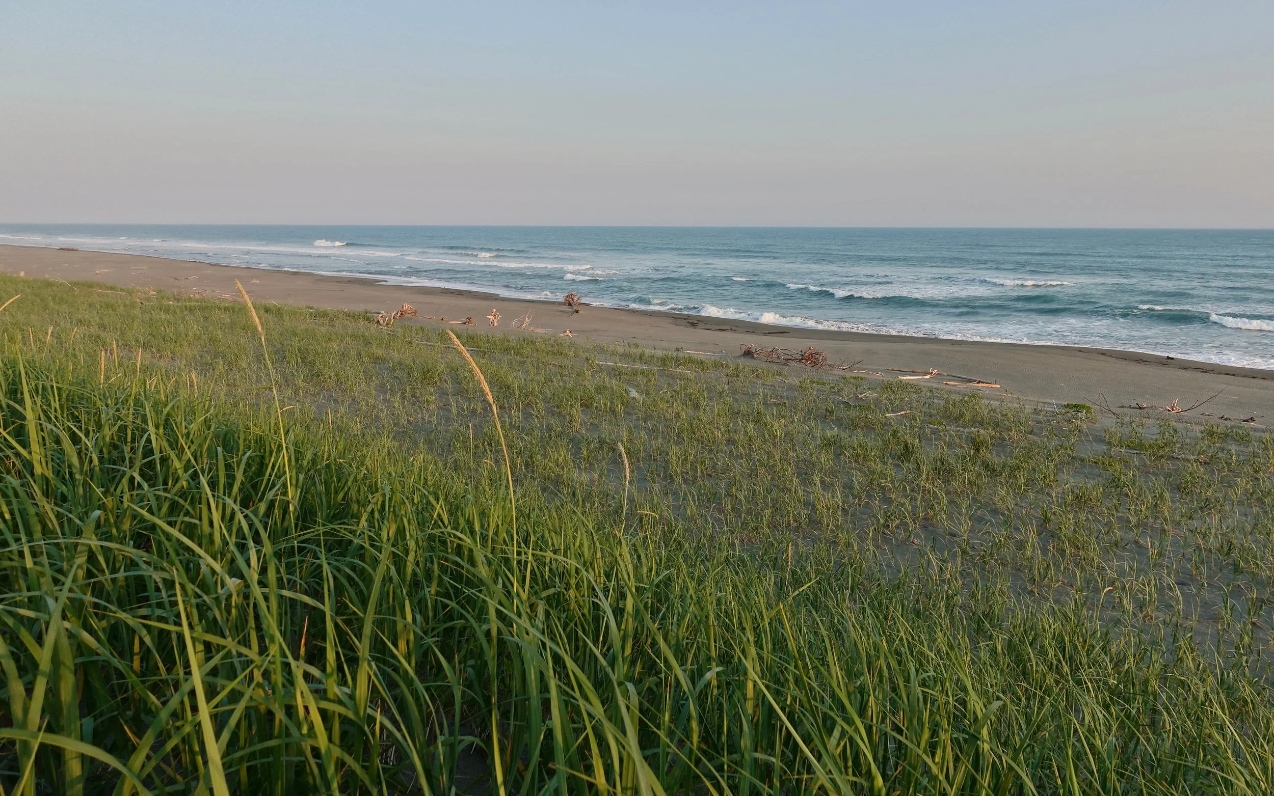 Lost Coast beach near the Awke River mouth in Alaska