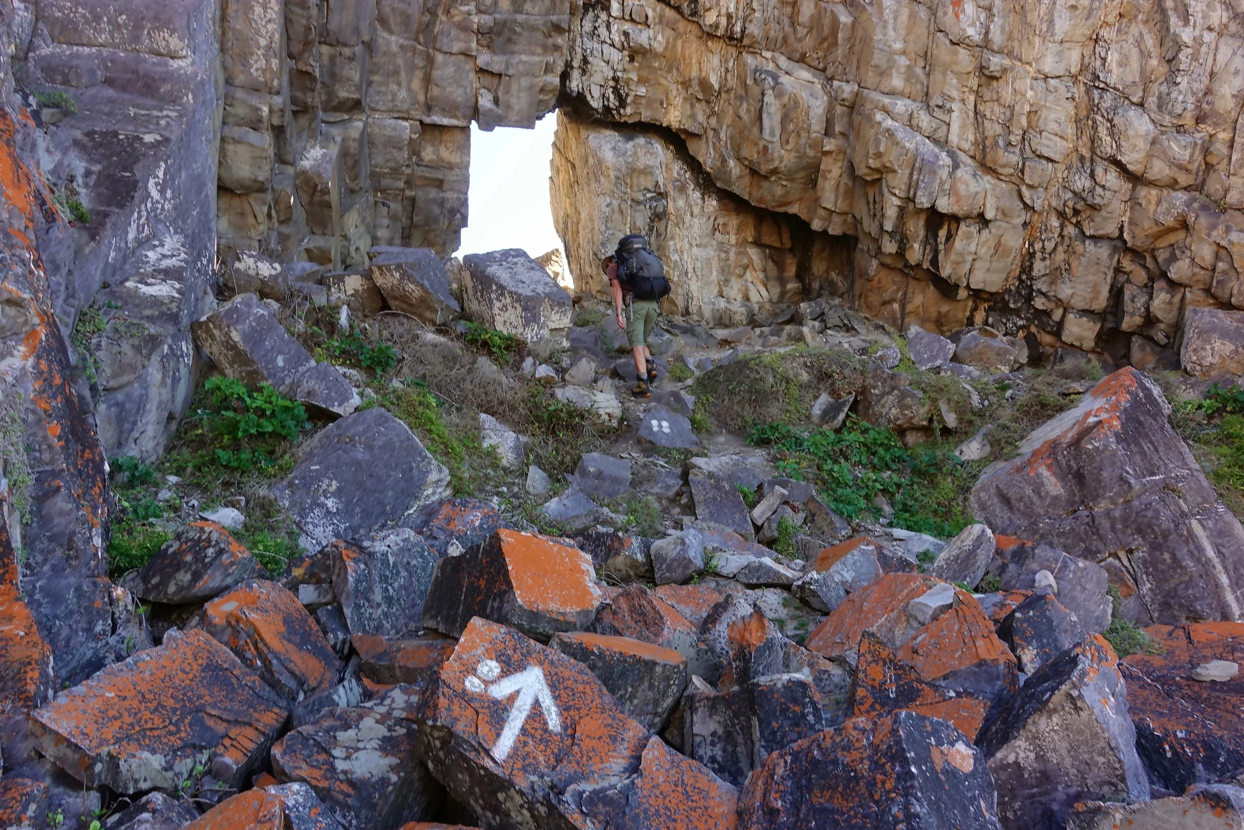 Walking along the Harkerville coast in South Africa