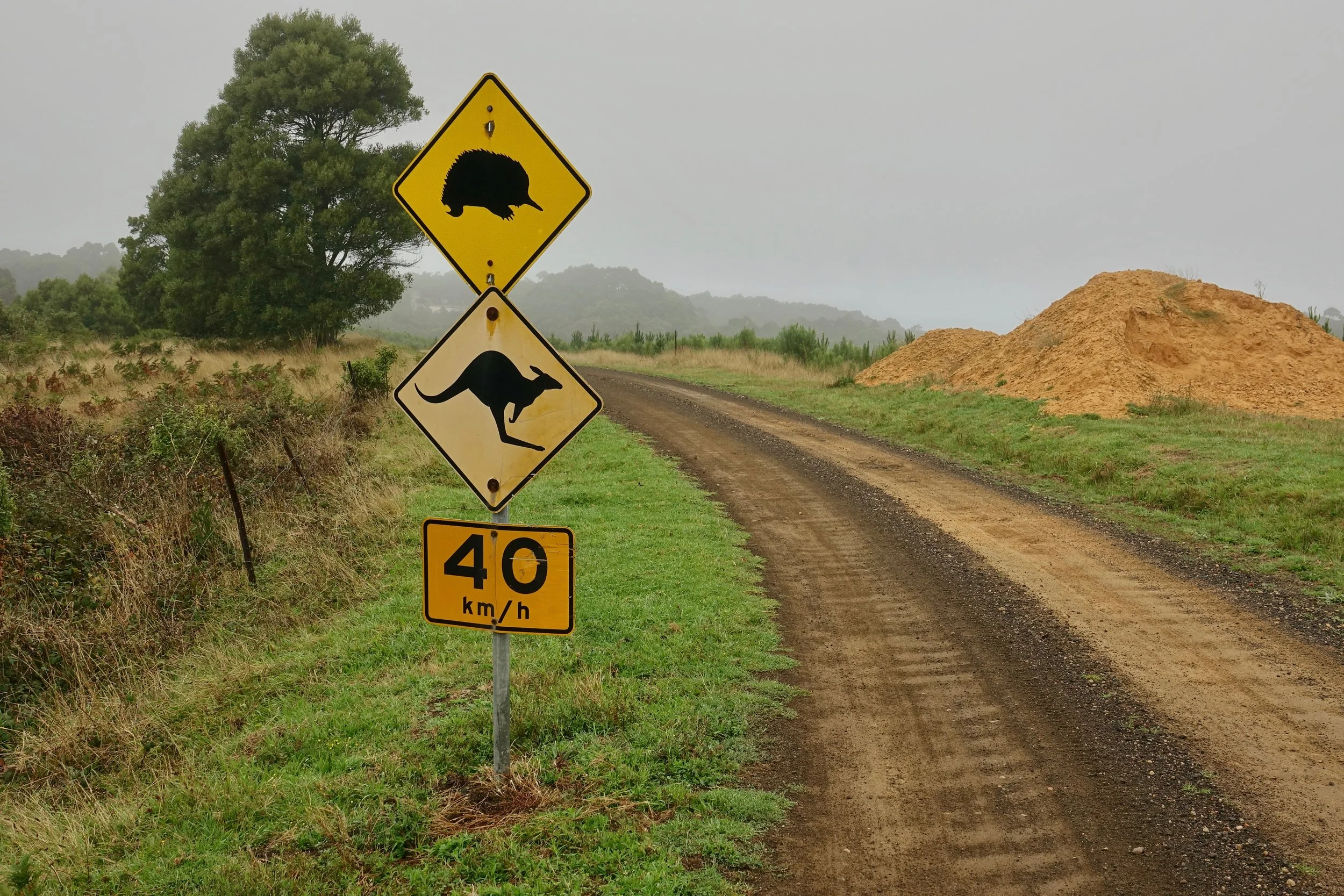 Road sign on the trail