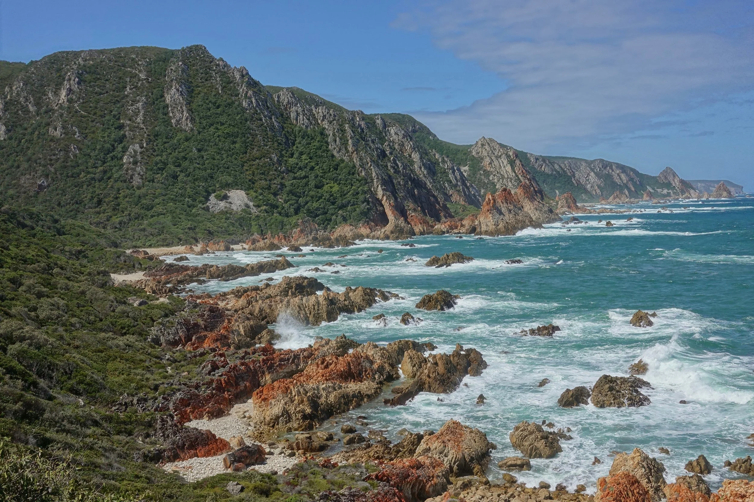View along the Harkerville coastal hike
