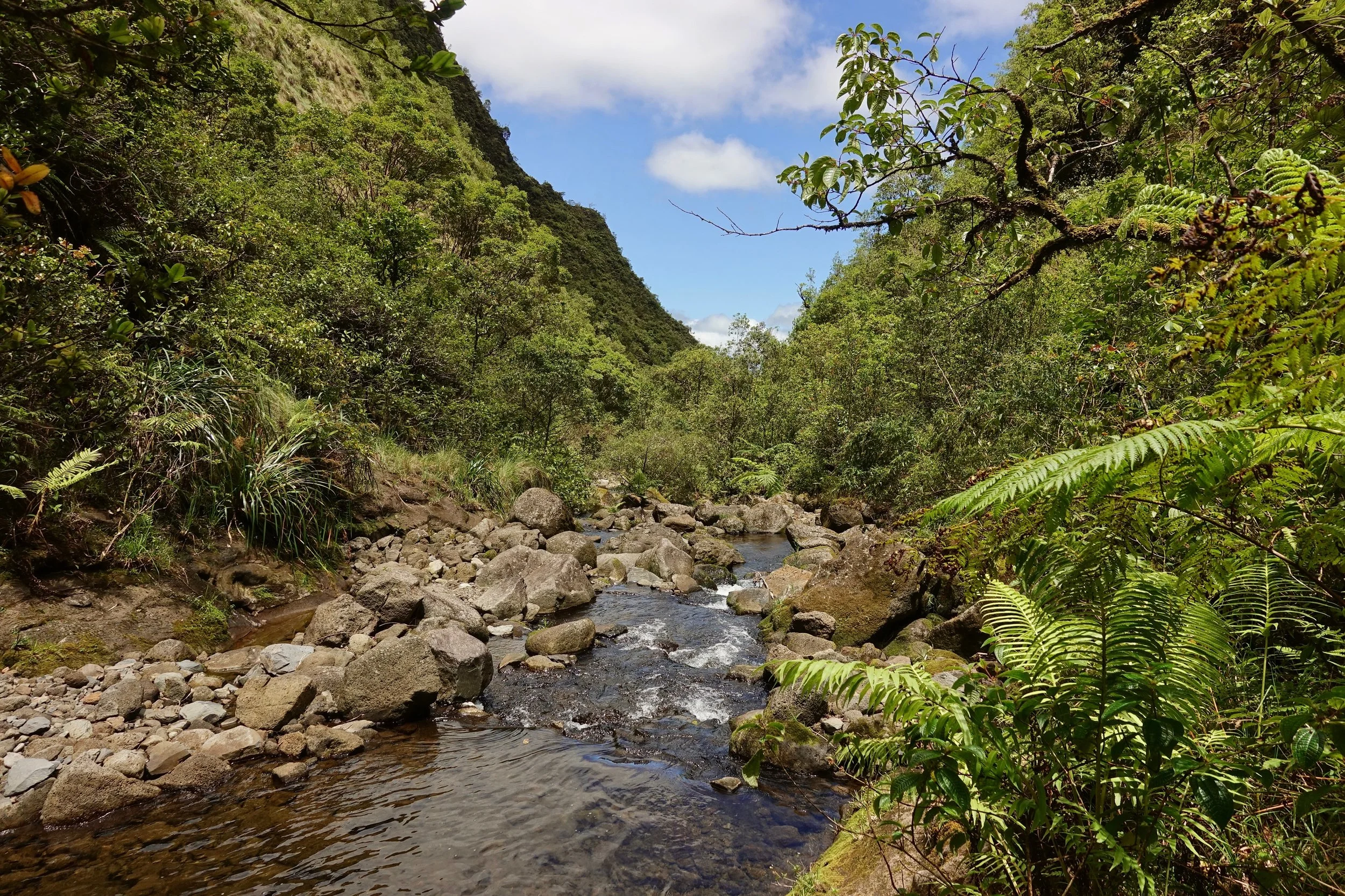 Blue hole hike up the river in Waialeale Canyon in Hawaii Maui