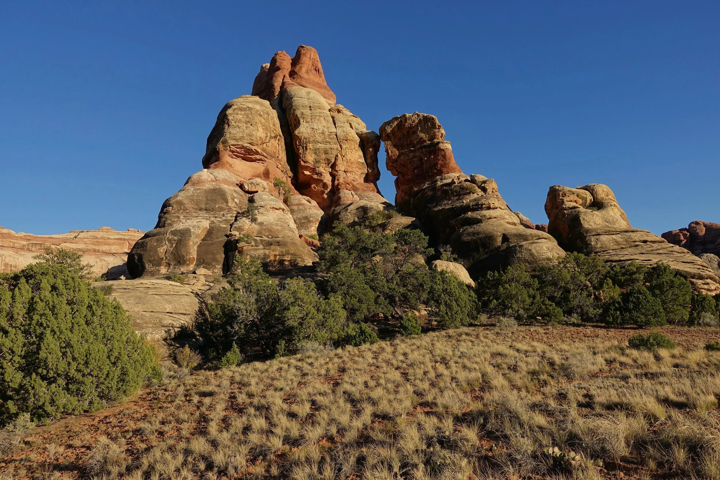 SC4 campsite in Salt Creek Canyon Utah in Canyonlands backpacking trip