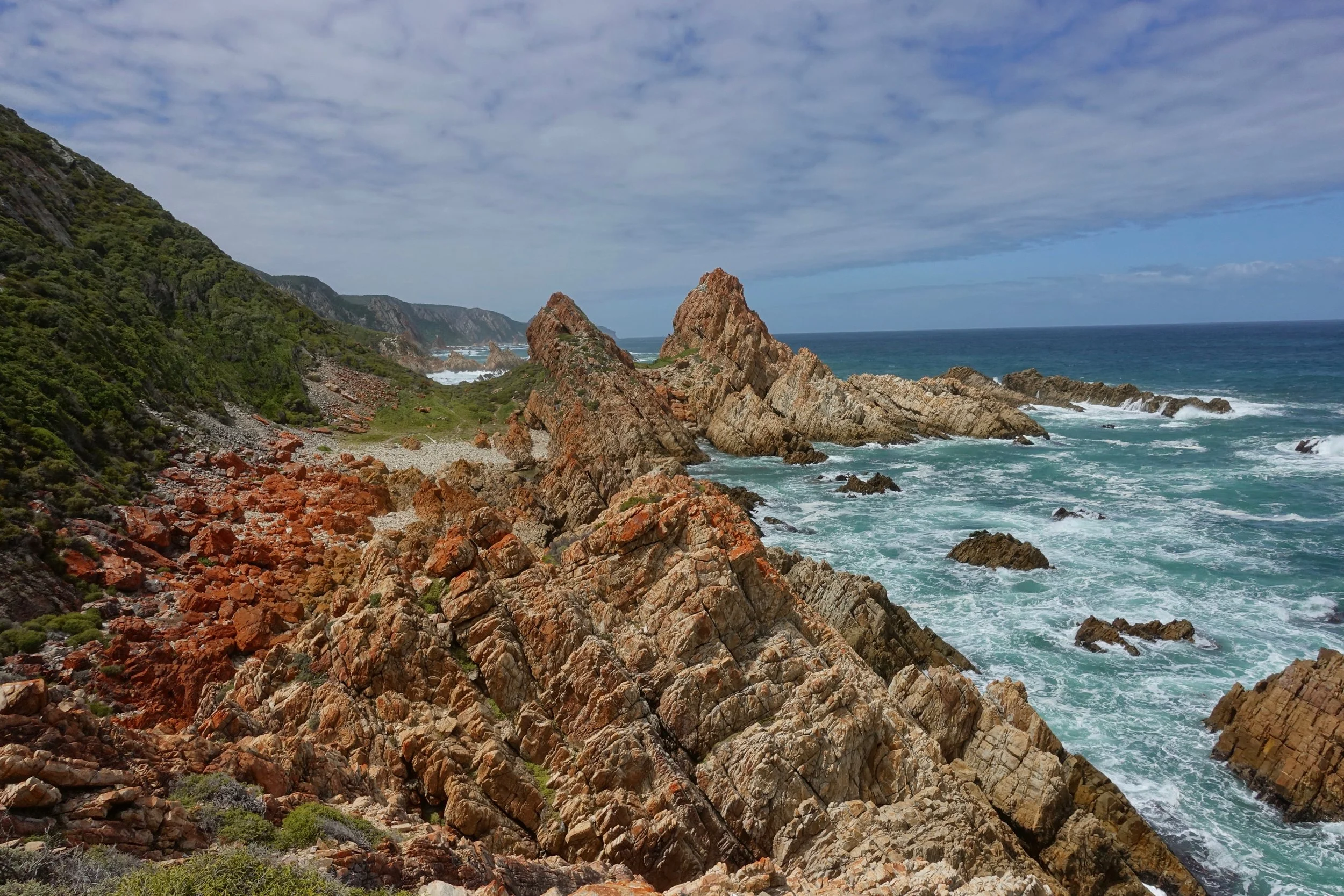 Harkerville coast hike in South Africa