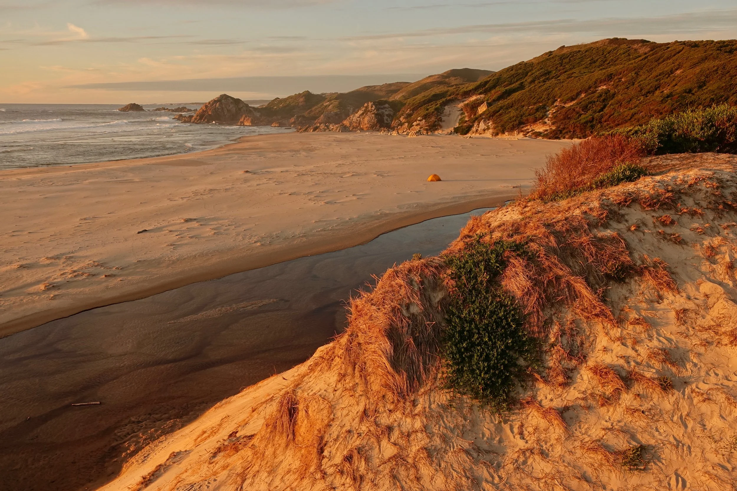 Campsite near Dunes Creek on the West Coast walk in Southwest Tasmania
