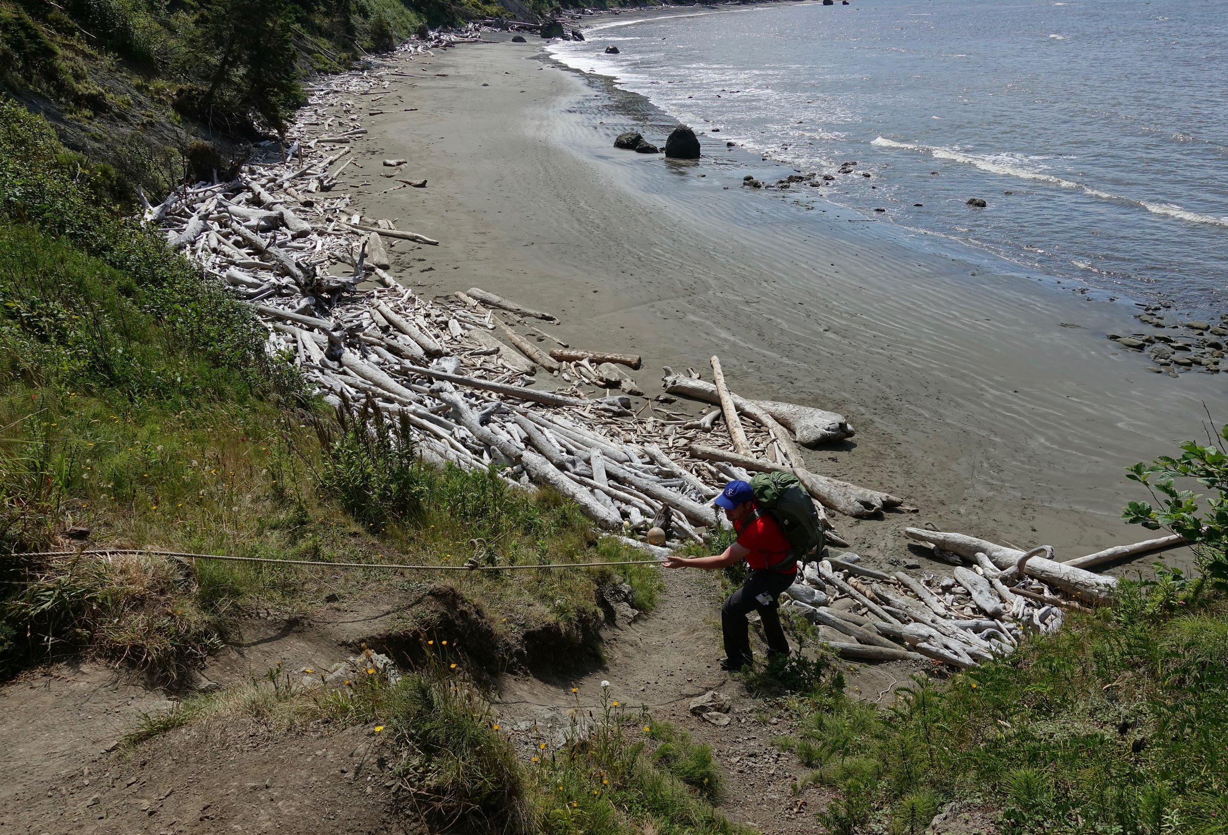 Overland trail on a hike in Olympic national park