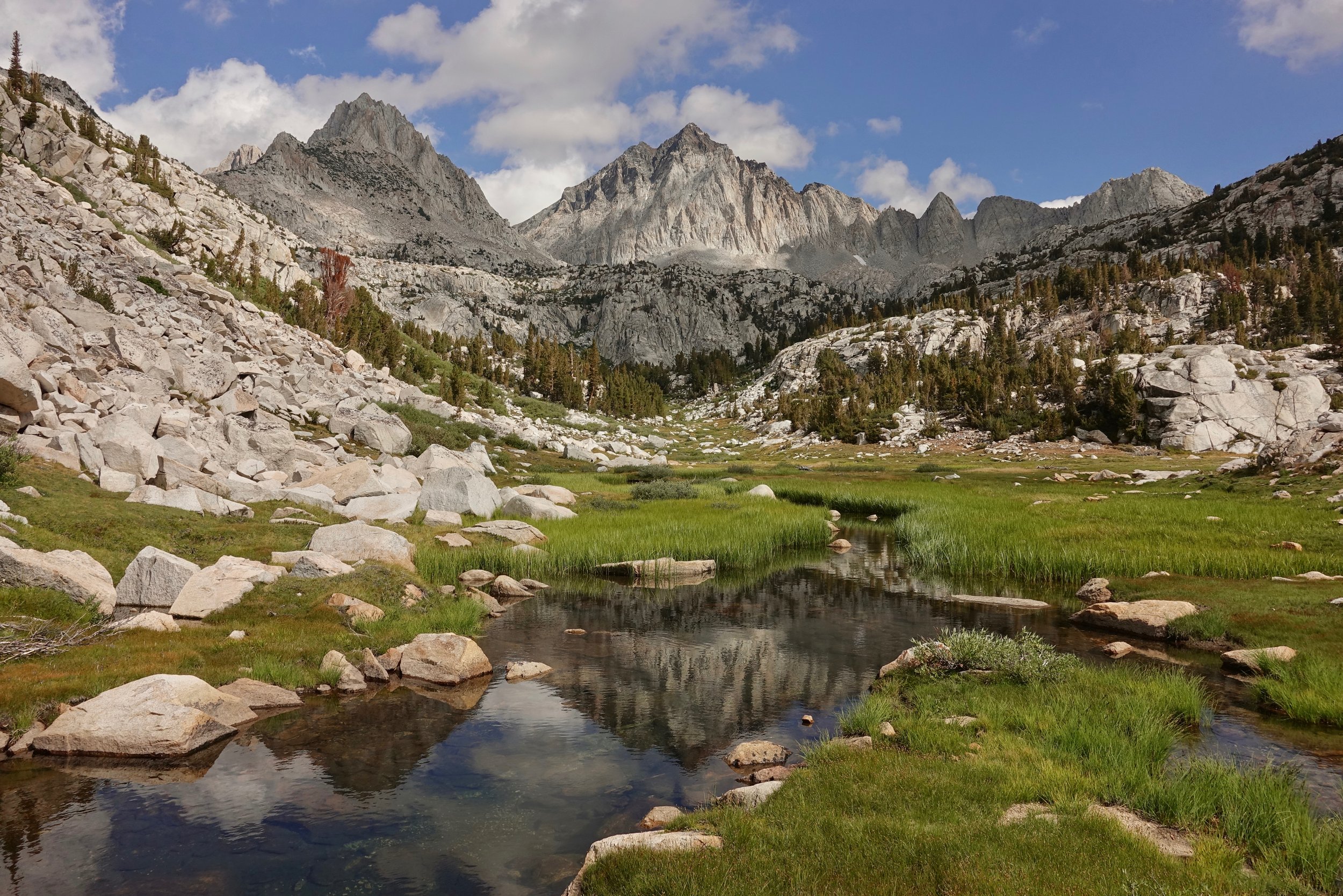 Laurel lake trail down to Mono Creek in Inyo National Forest