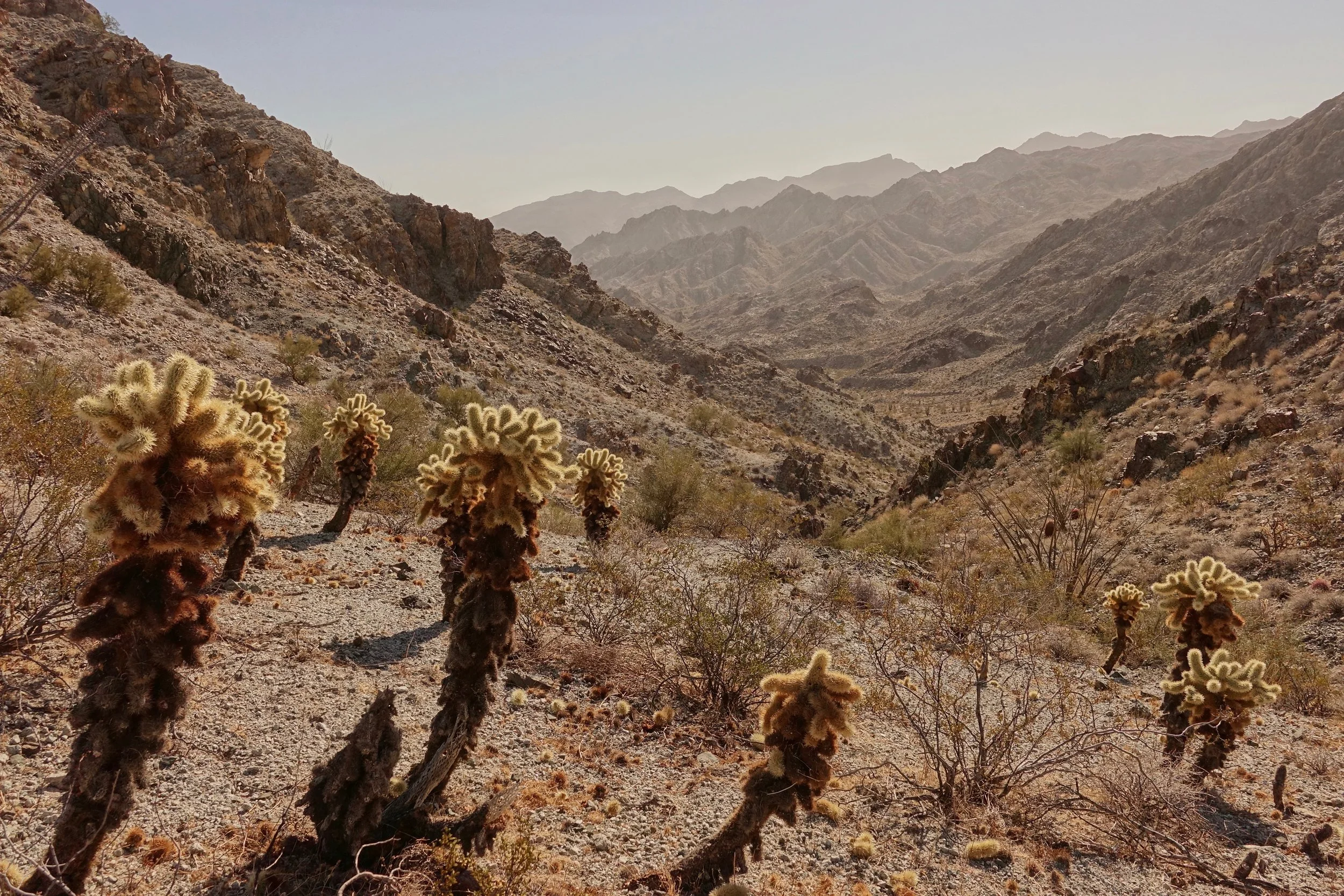 Pass on the Chemehuevi Mountains Wilderness walk