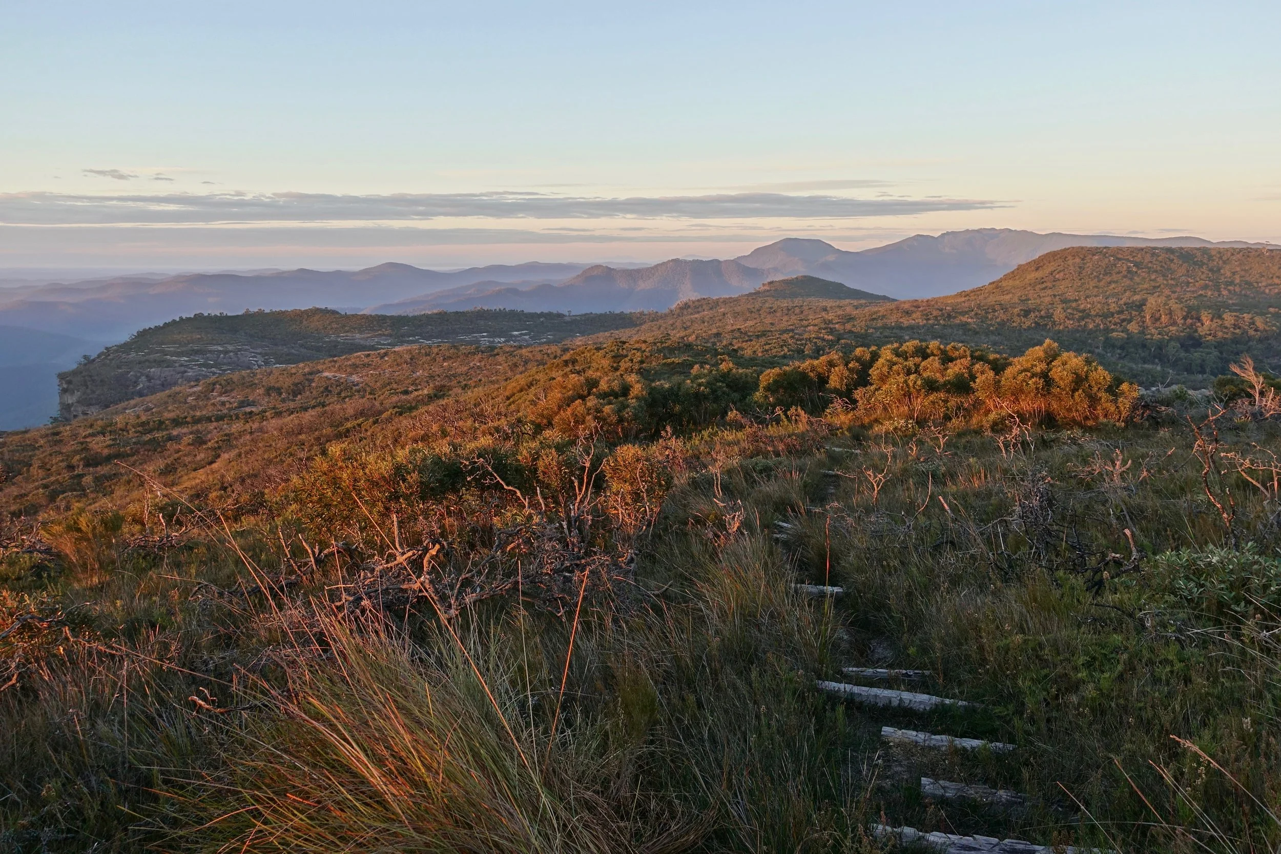 The trail near Corang Peak in the Budawangs of Australia