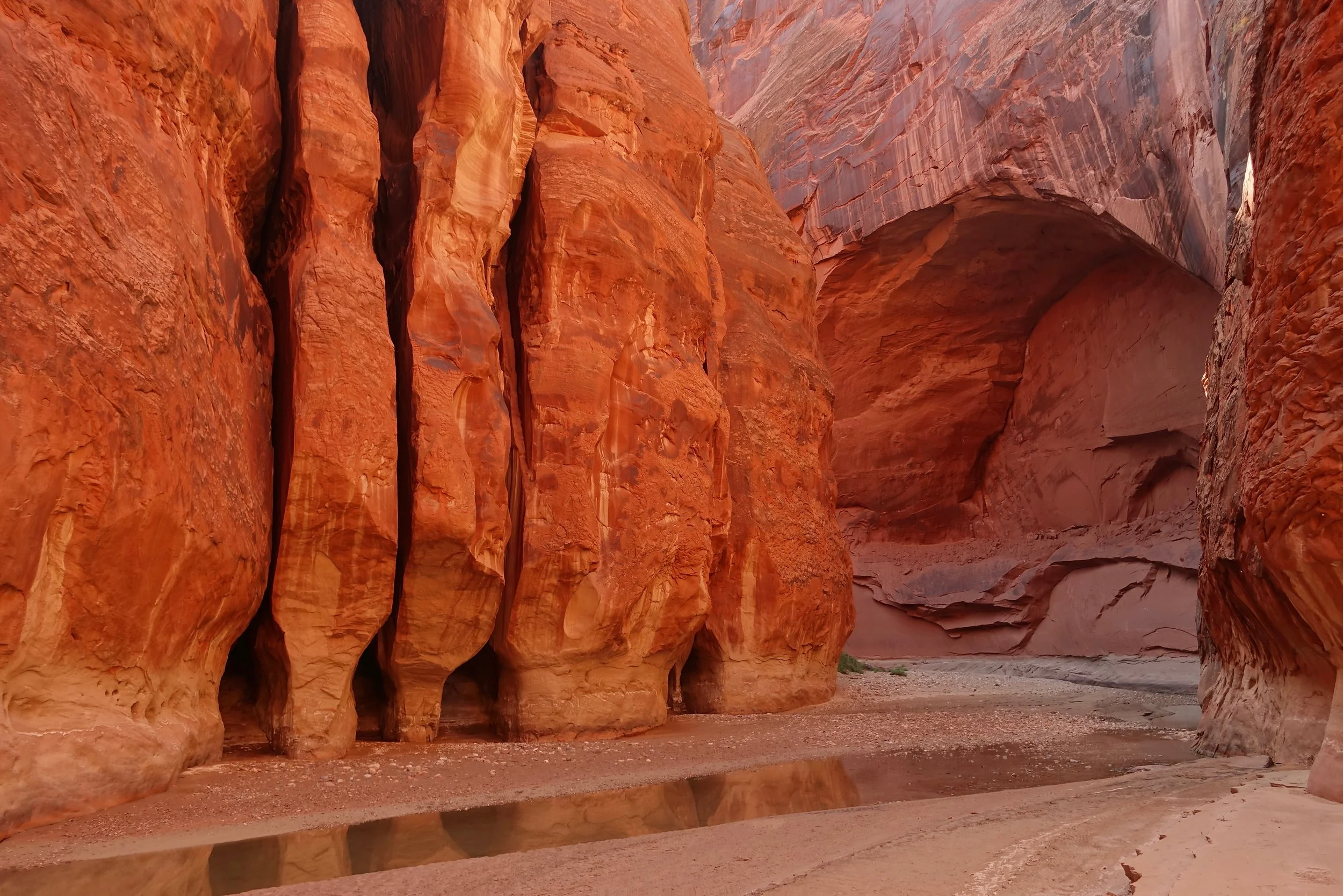 Backpacking hike along the Paria River in Utah