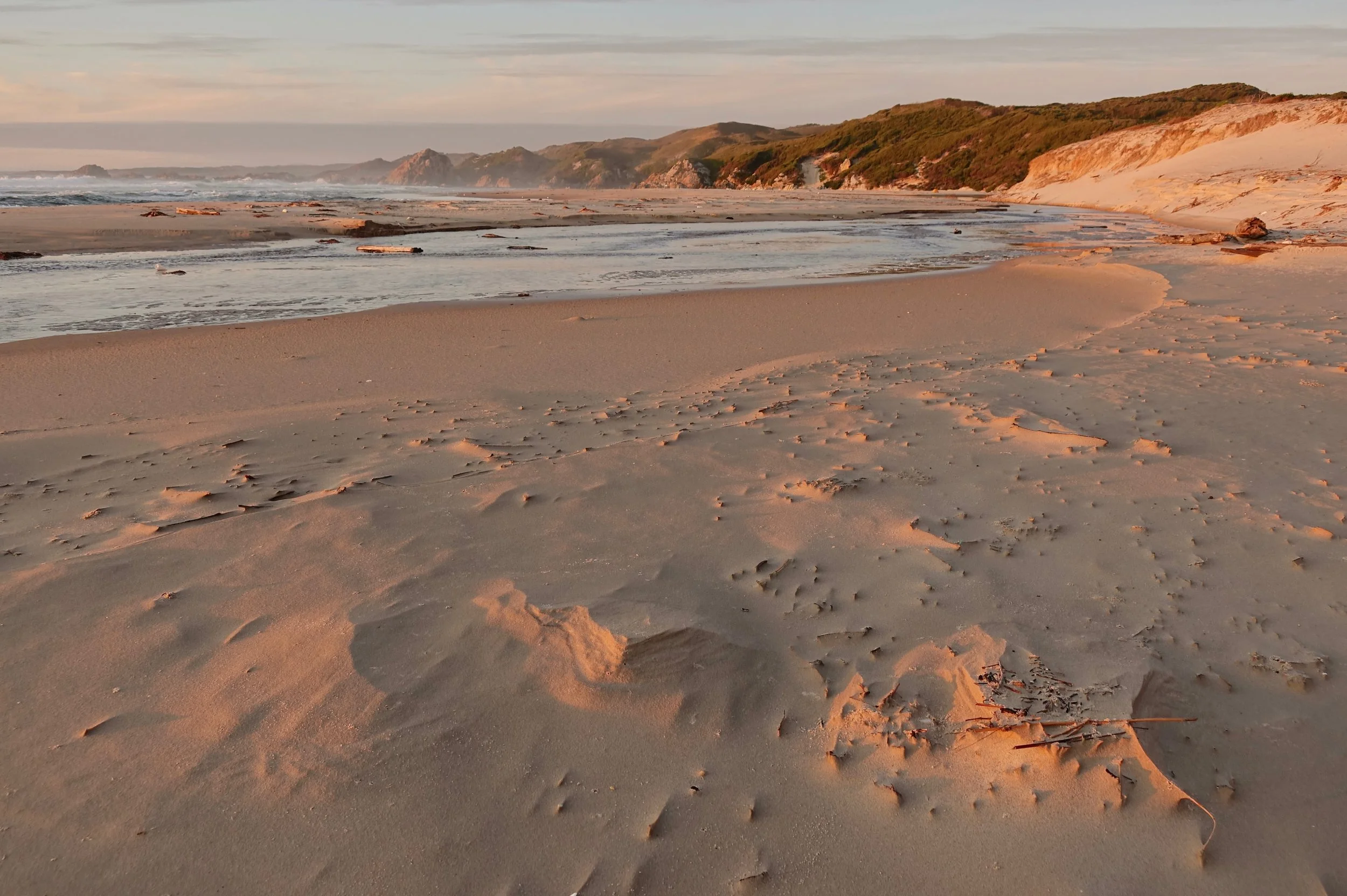 Dunes Creek bushwacking on the West Coast walk in Tasmania