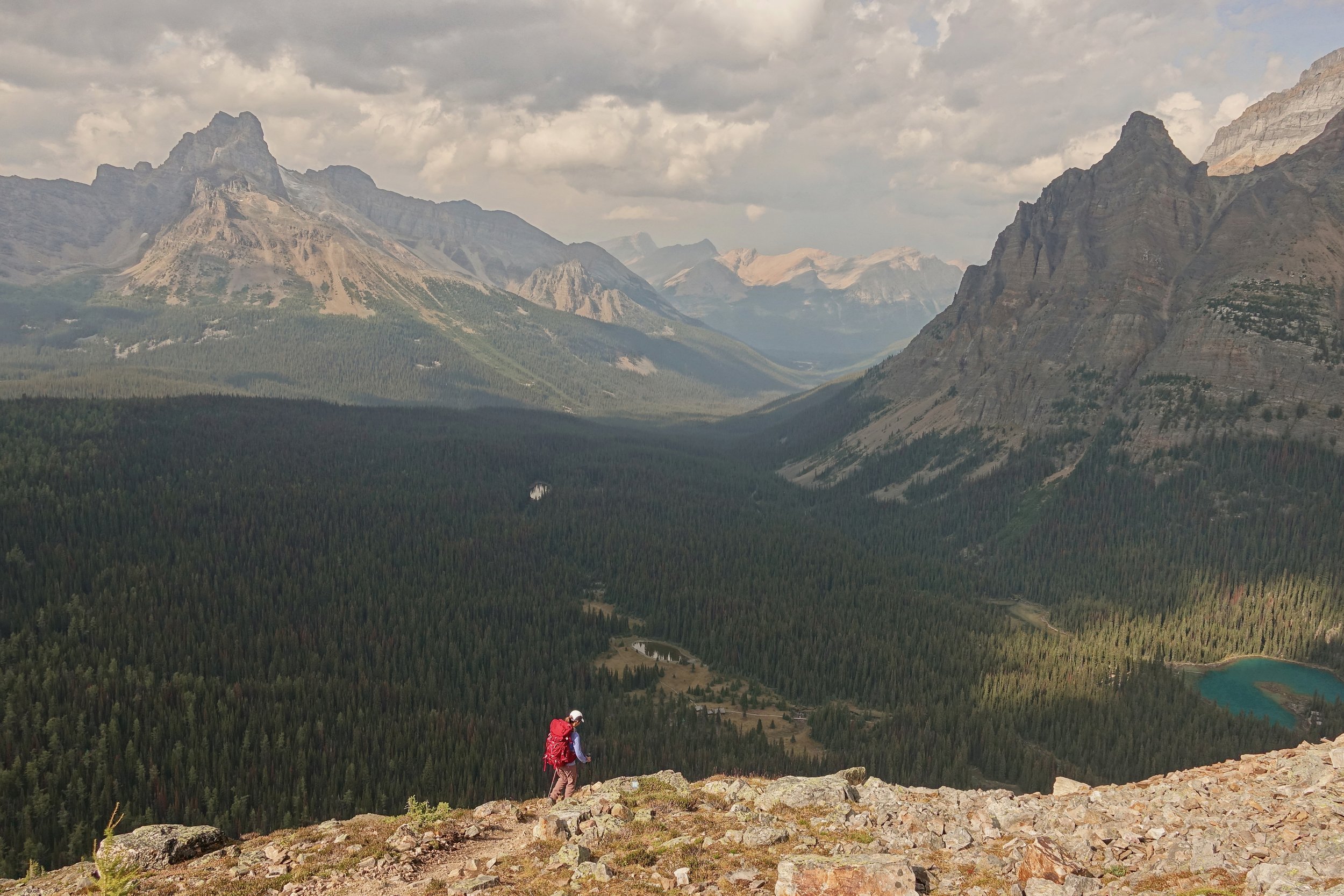 Hiker coming down from All Souls Prospect on Alpine circuit route in Lake O'hara