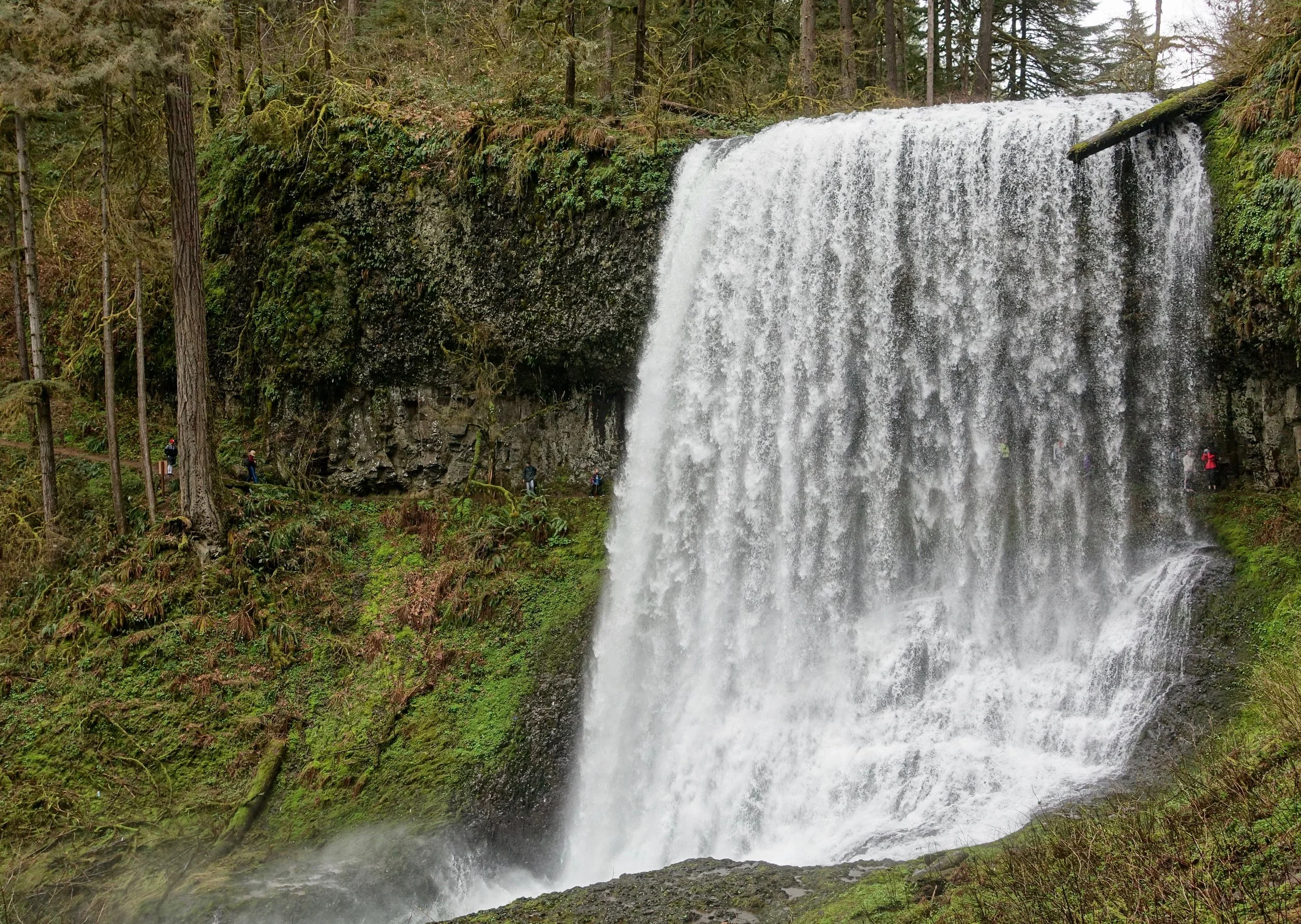 Middle North Falls in Oregon on the Trail of Ten Falls