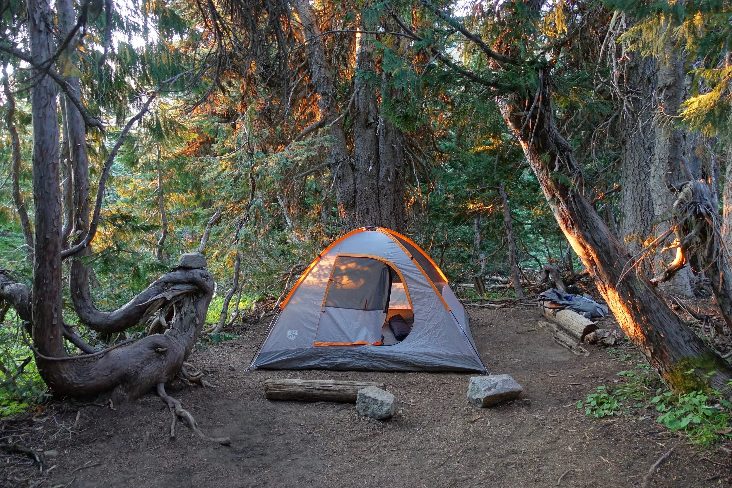 Our tent on Glacier Basin Trail in Mount Rainier National park