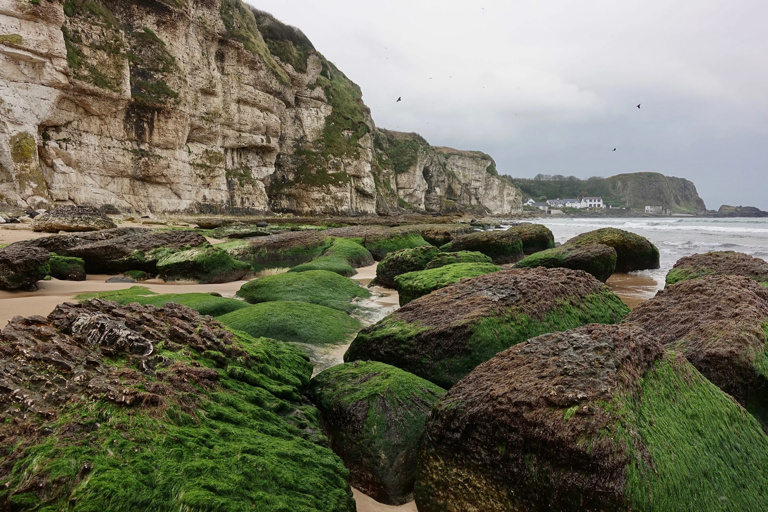 Rocky coastline near Portbradden harbor on Causeway Coast Ireland