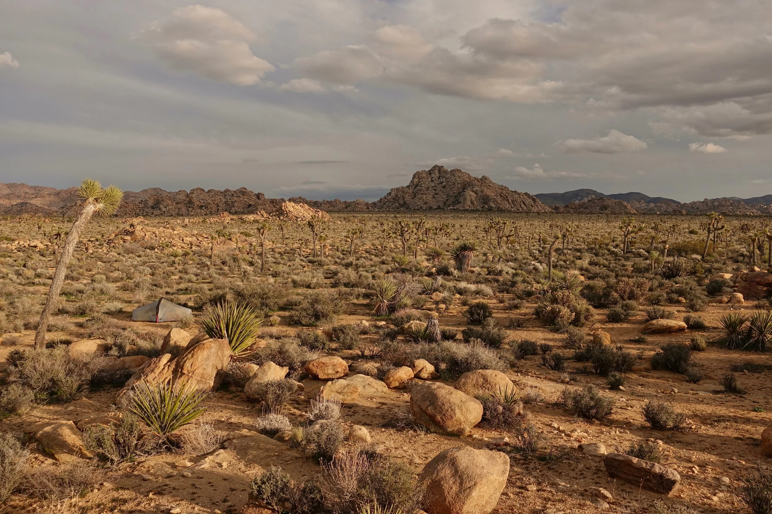 Campsite on Boy Scout Trail in Joshua Tree National Park