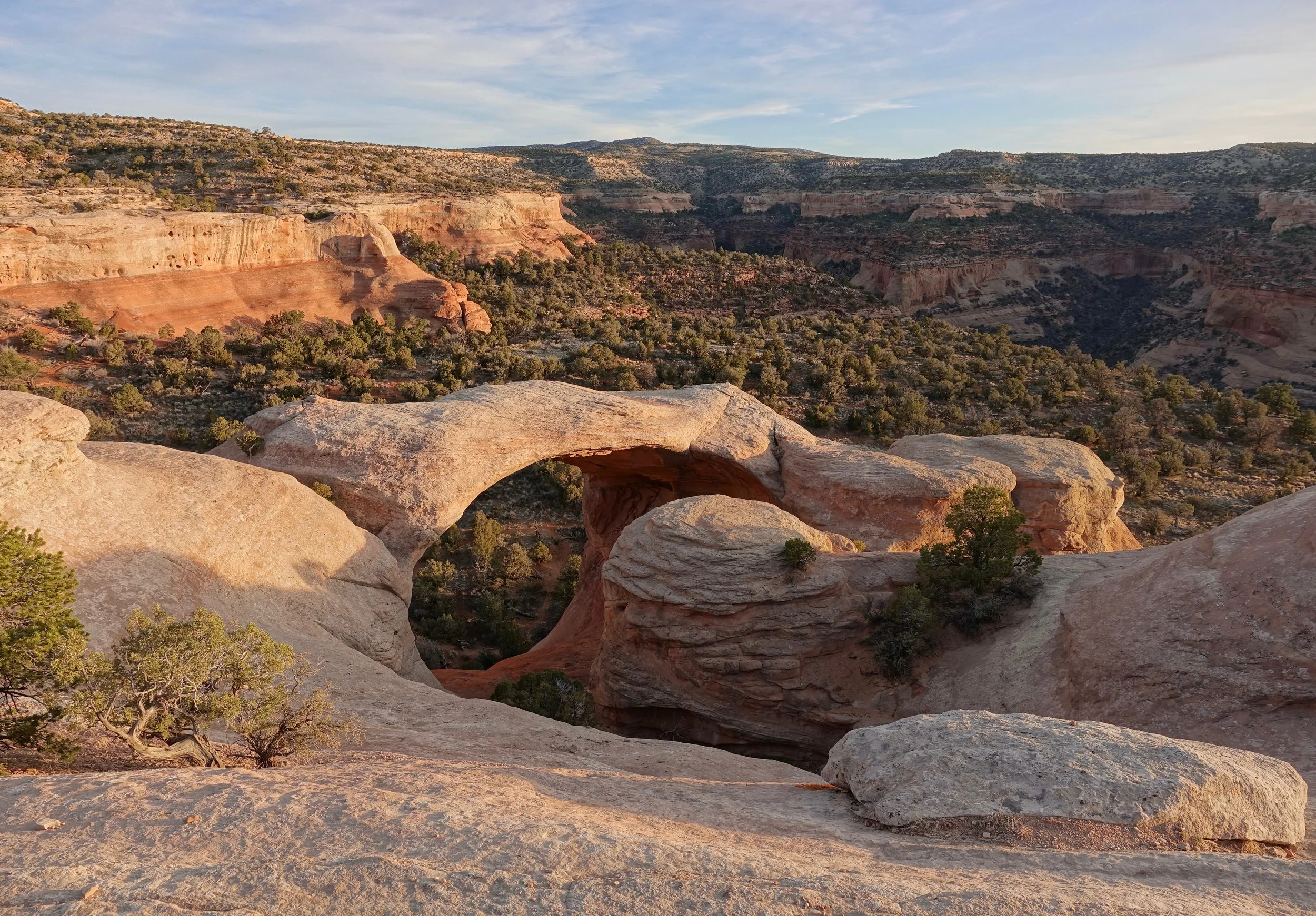Cedar Tree Arch in Rattlesnake Canyon