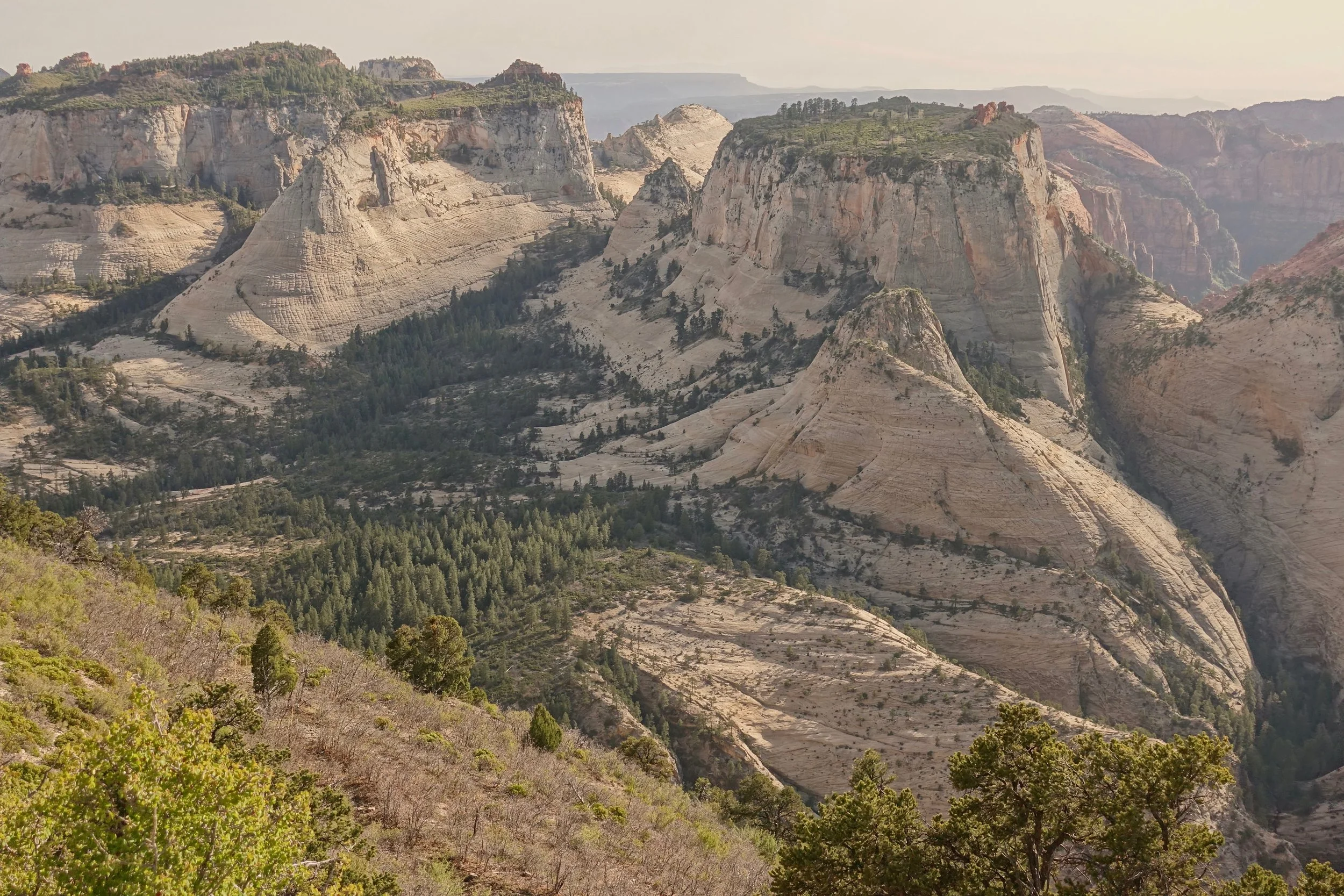 Backpacking Zion National Park's West rim trail, camping on the rim