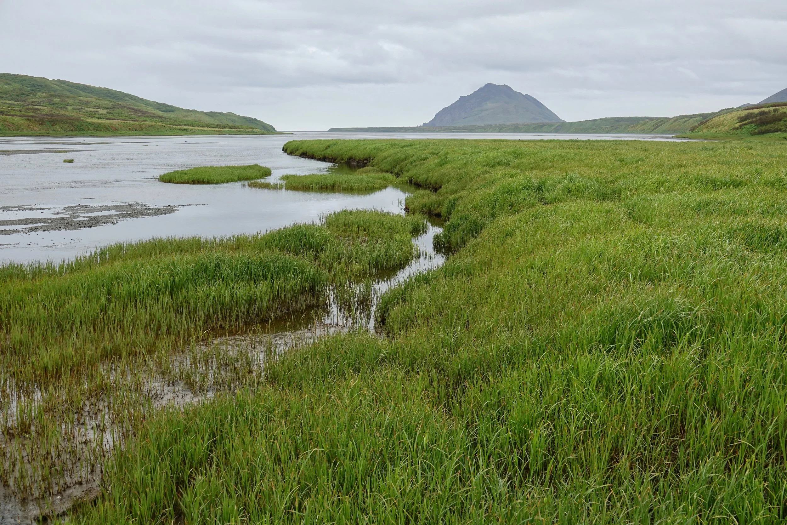 Sturgeon river bank on Kodiak Island hiking trip