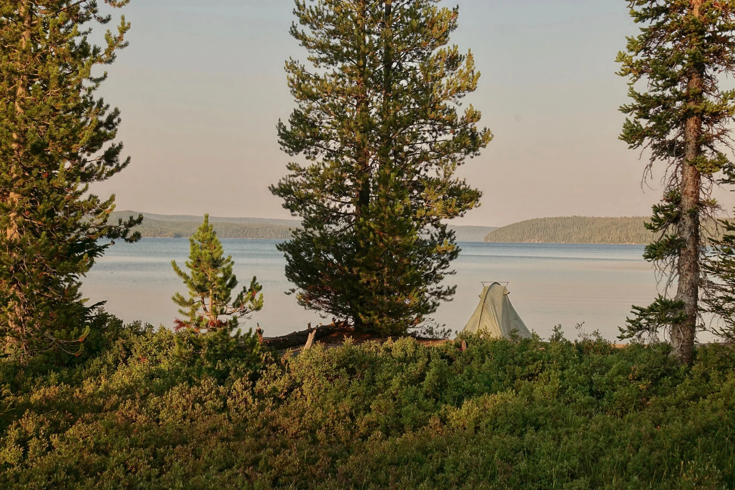 Basin Beach campsite on Shoshone Lake in Yellowstone National Park