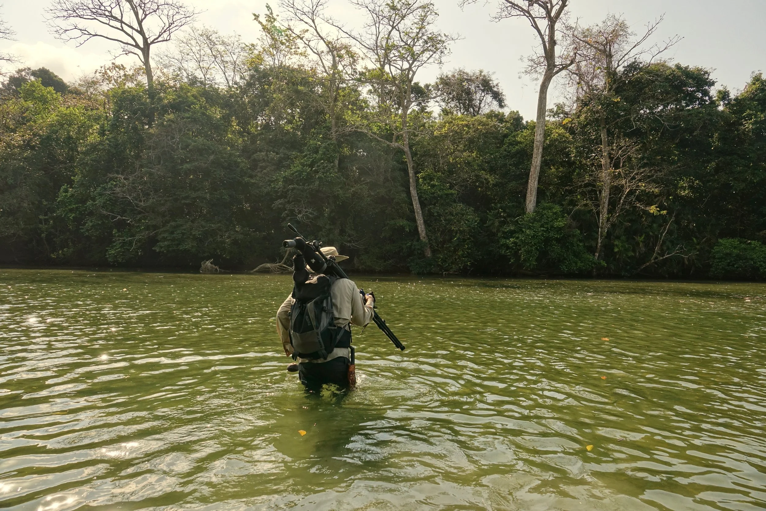 Crossing Rio Claro in Corcovado National Park