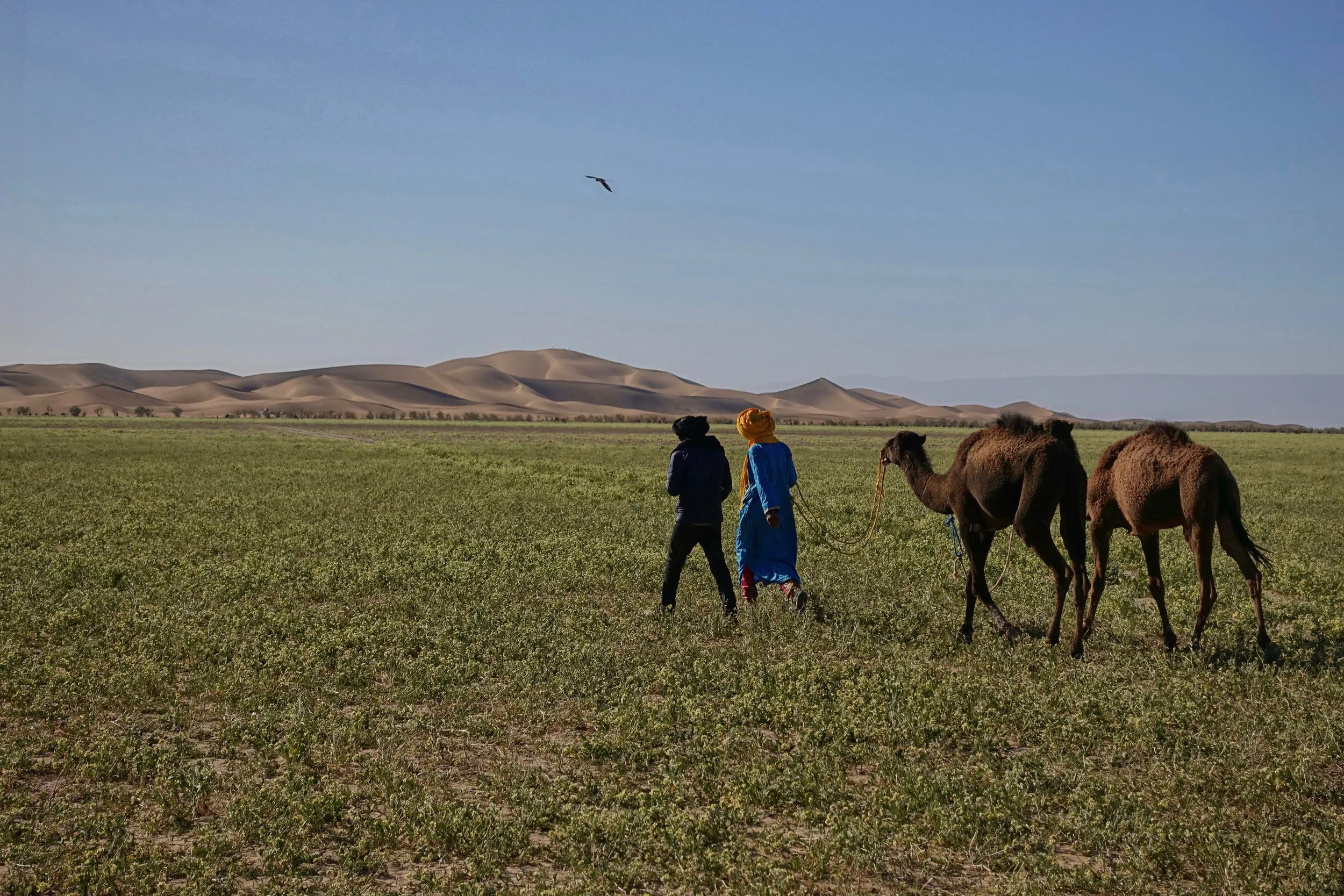 Hiking in the "green place" outside of the sand dunes