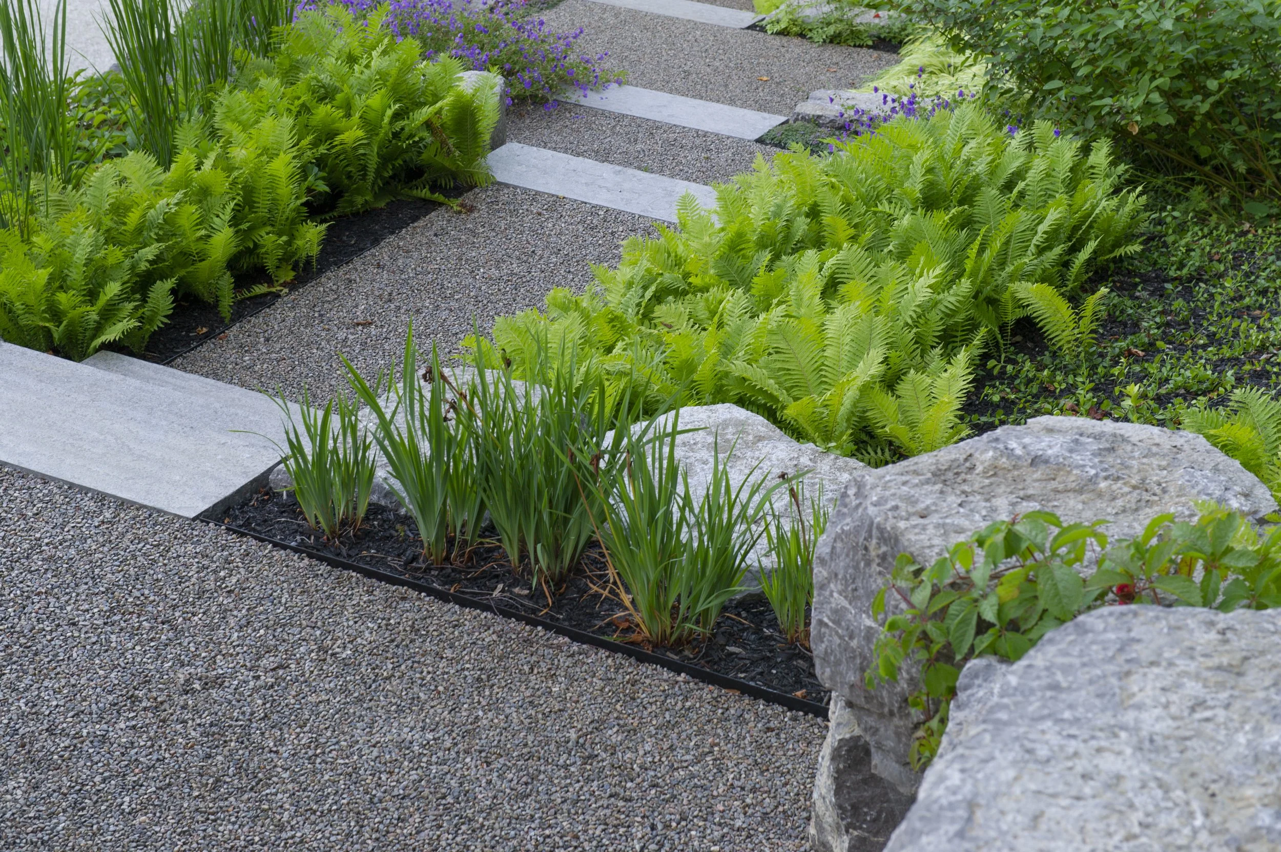 A landscaped garden pathway with gravel and rectangular stone pavers, bordered by lush green ferns, ornamental grasses, purple flowers, and large rocks.