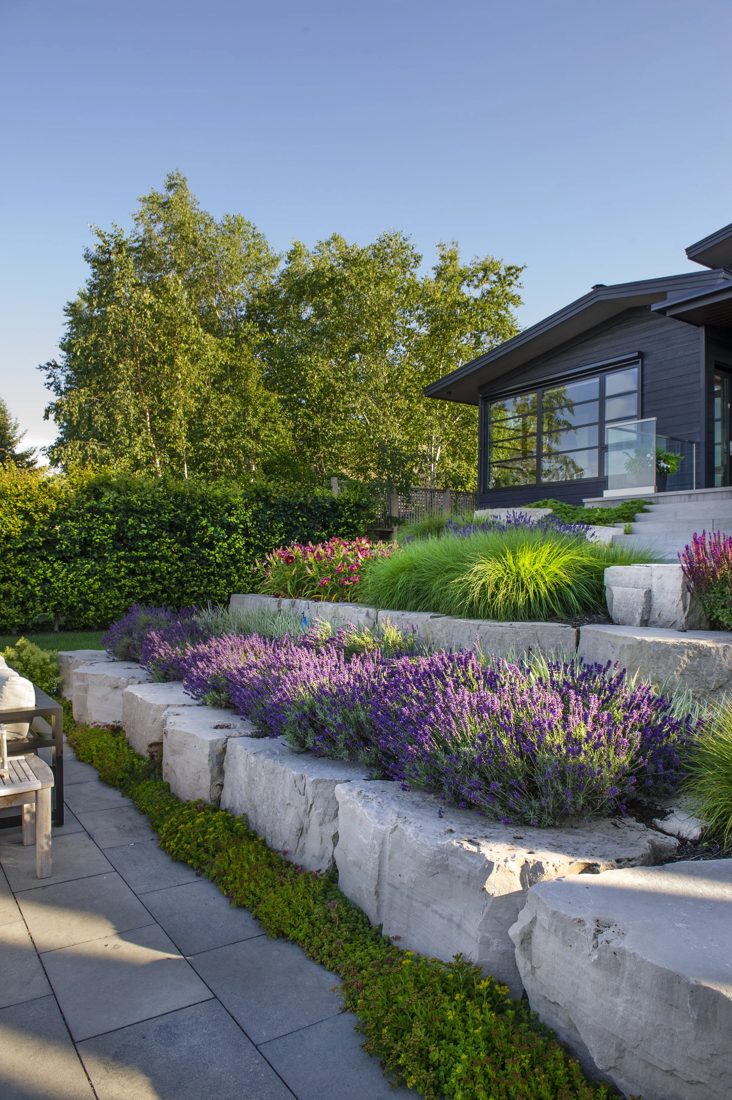 A landscaped backyard with large rocks, lush green plants, purple flowers, a patio with a chair, and a modern house with large windows.