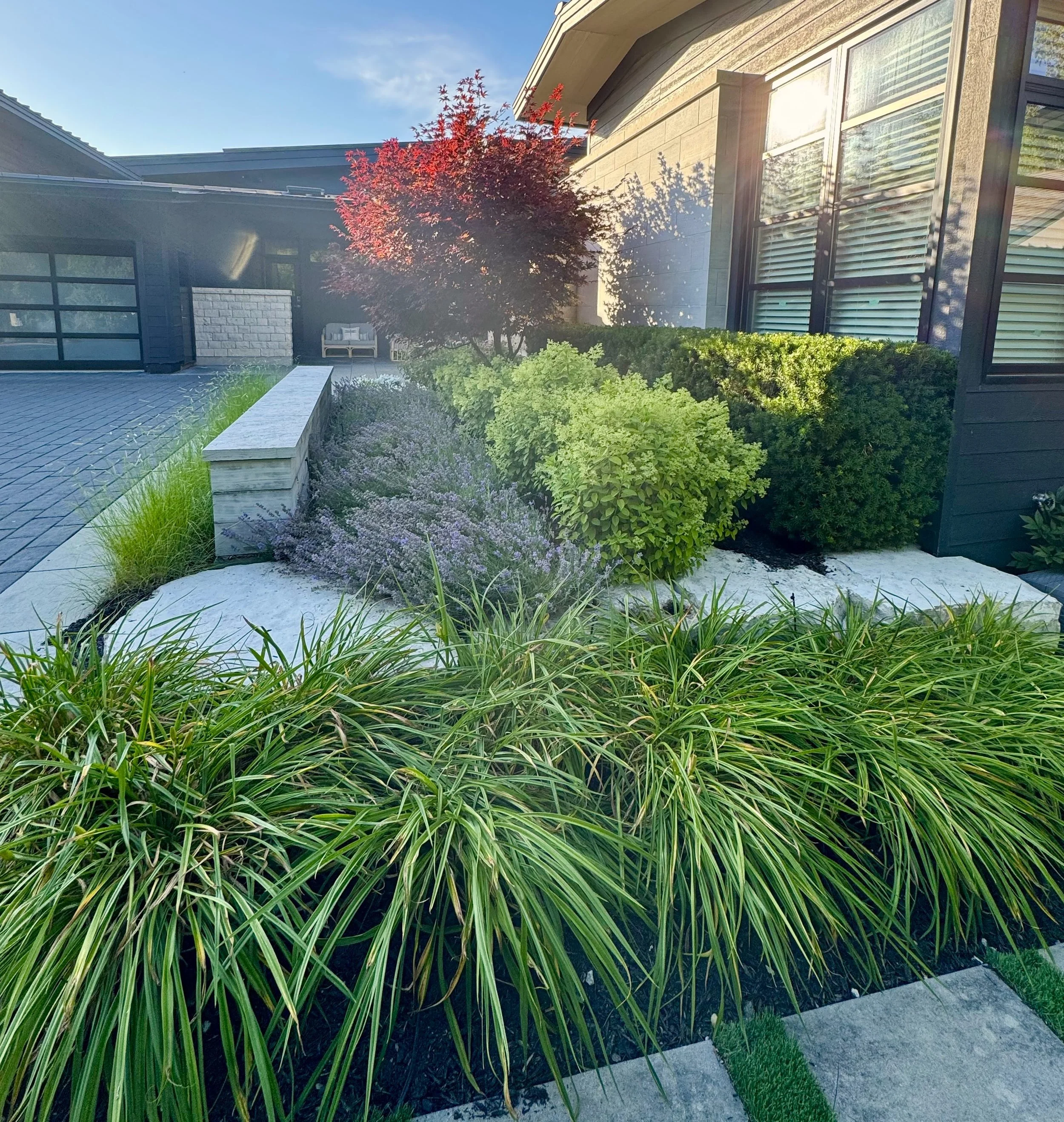 fromphone for ad2.jpg