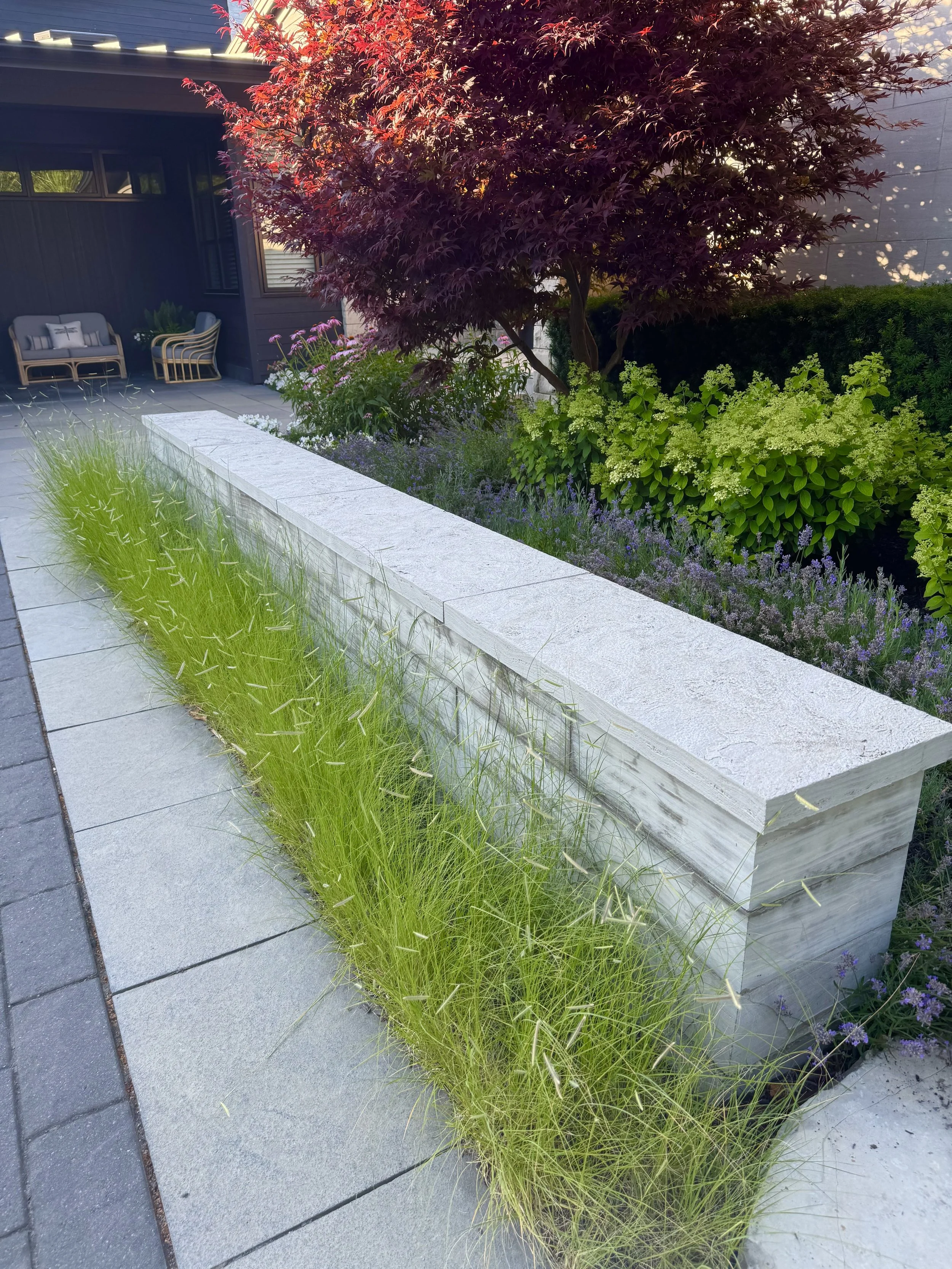 from phone for ad.jpg