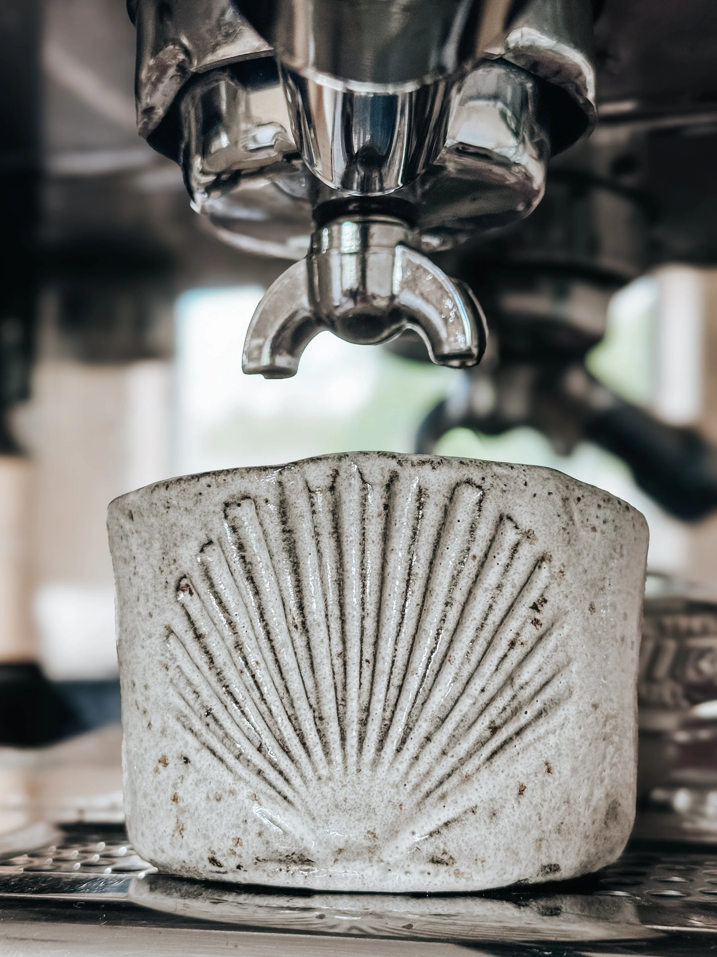 SALT. Cup