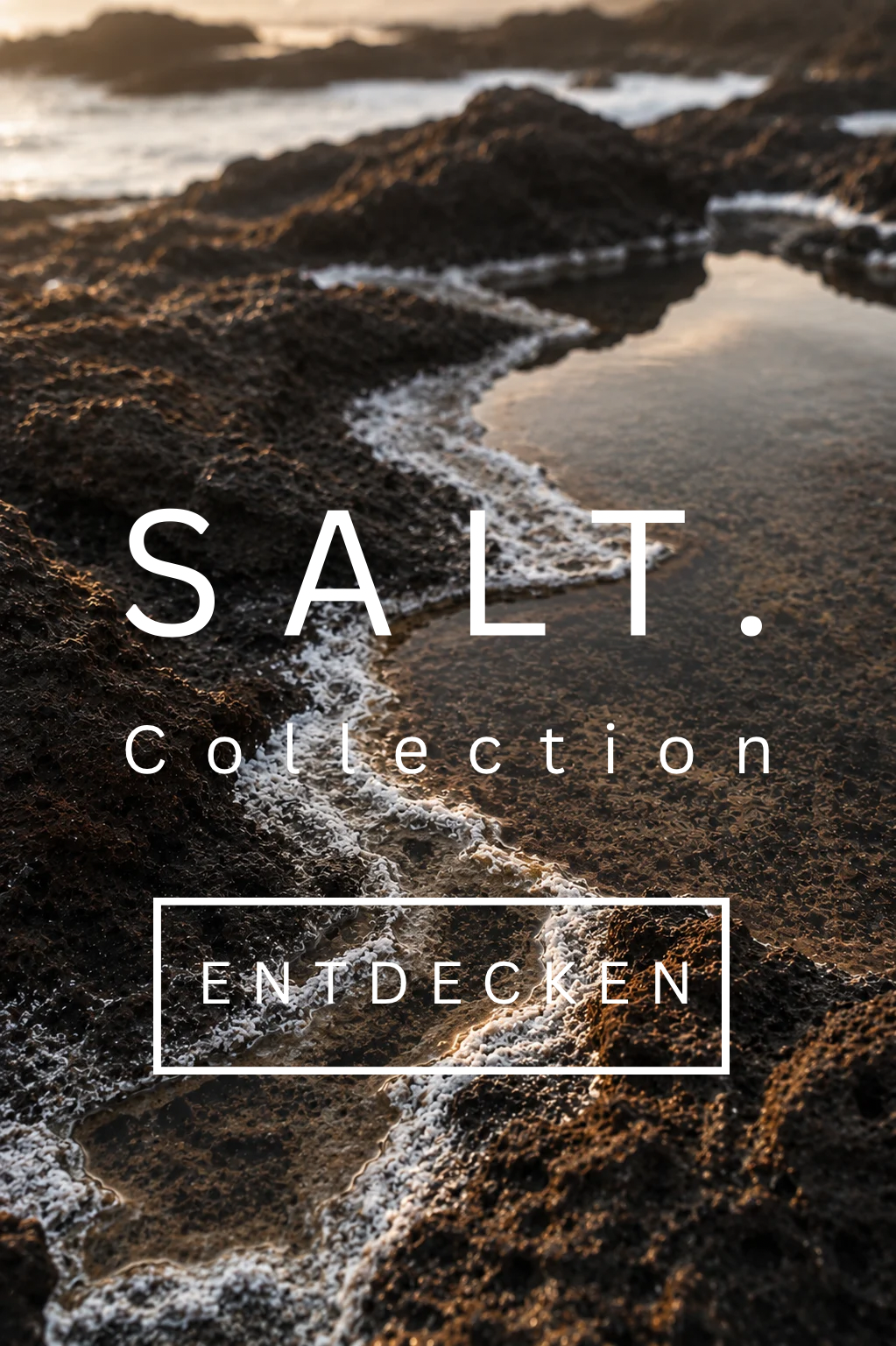 SALT. - 1.png