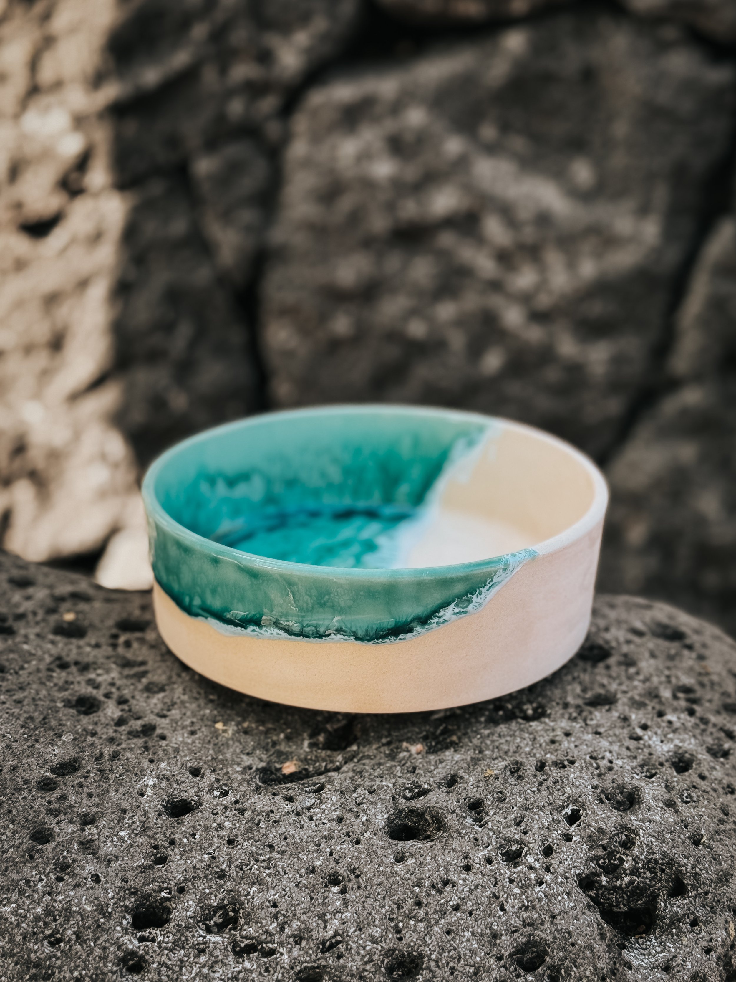 20260126-IMG_1245 (1).jpeg